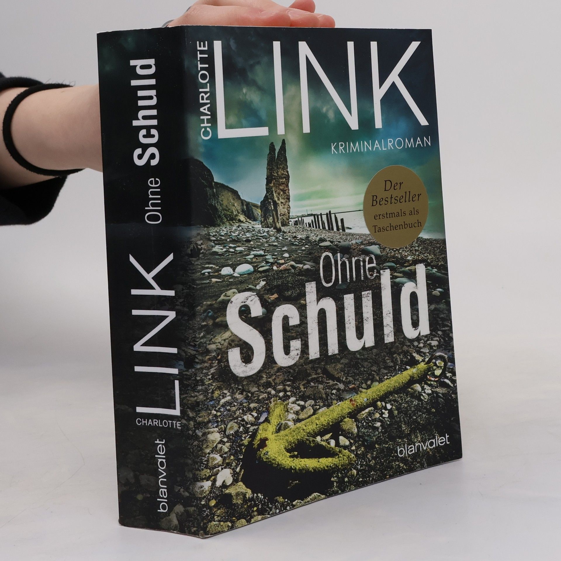 Charlotte Link Ohne Schuld