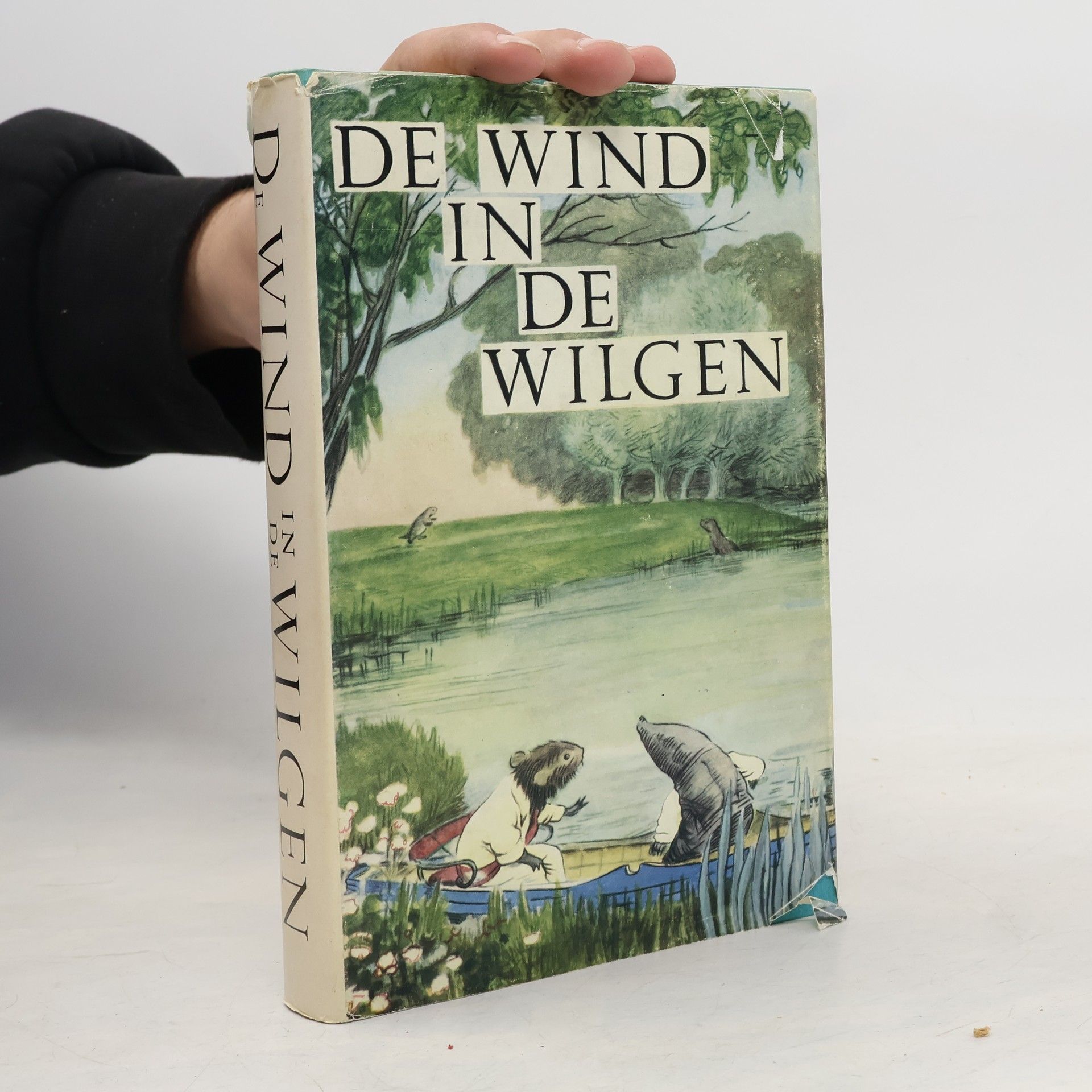 De wind in de wilgen