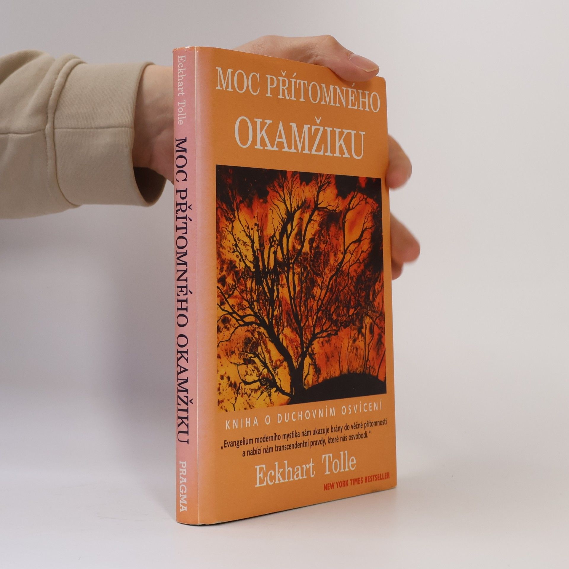 Moc přítomného okamžiku