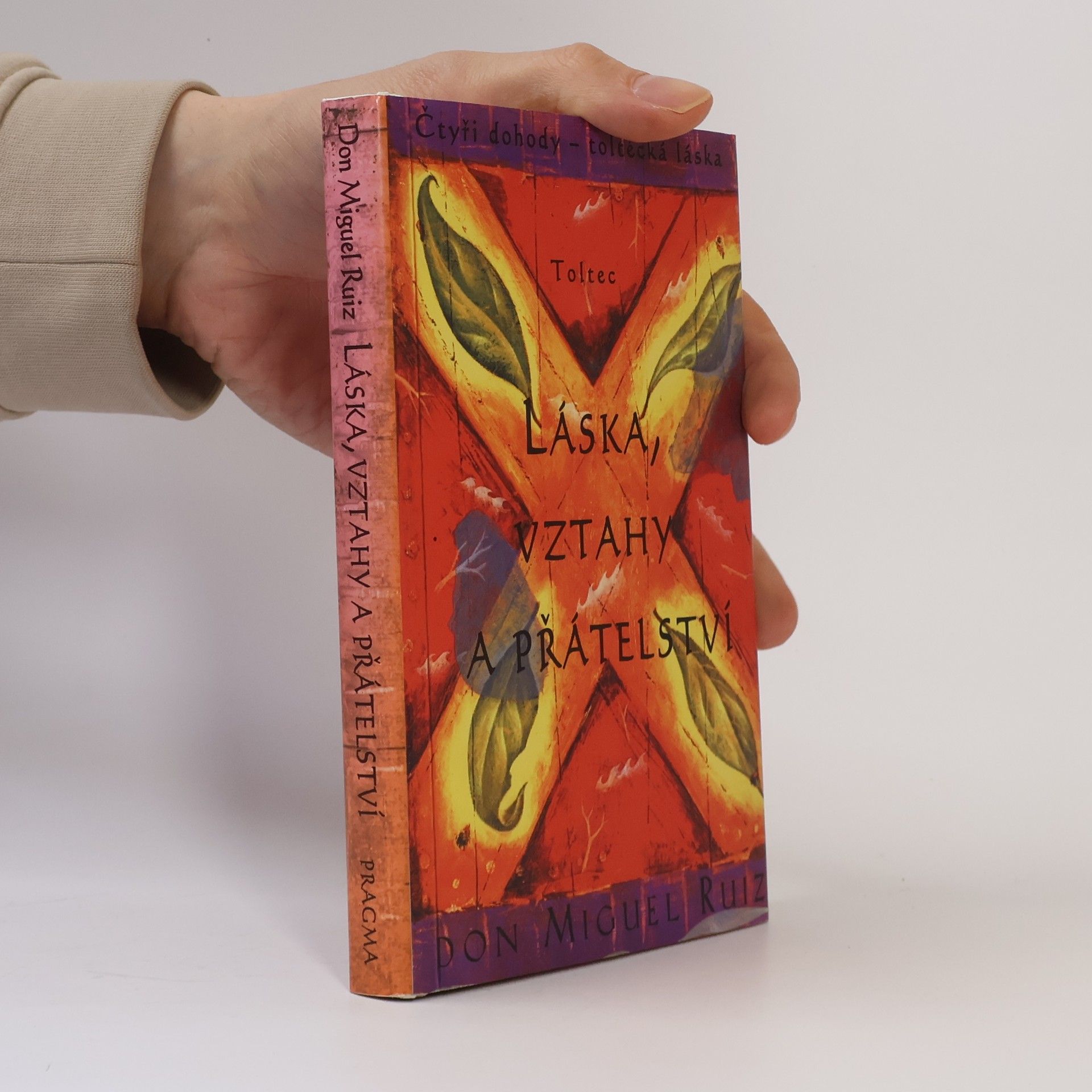 Don Miguel Ruiz Láska, vztahy a přátelství