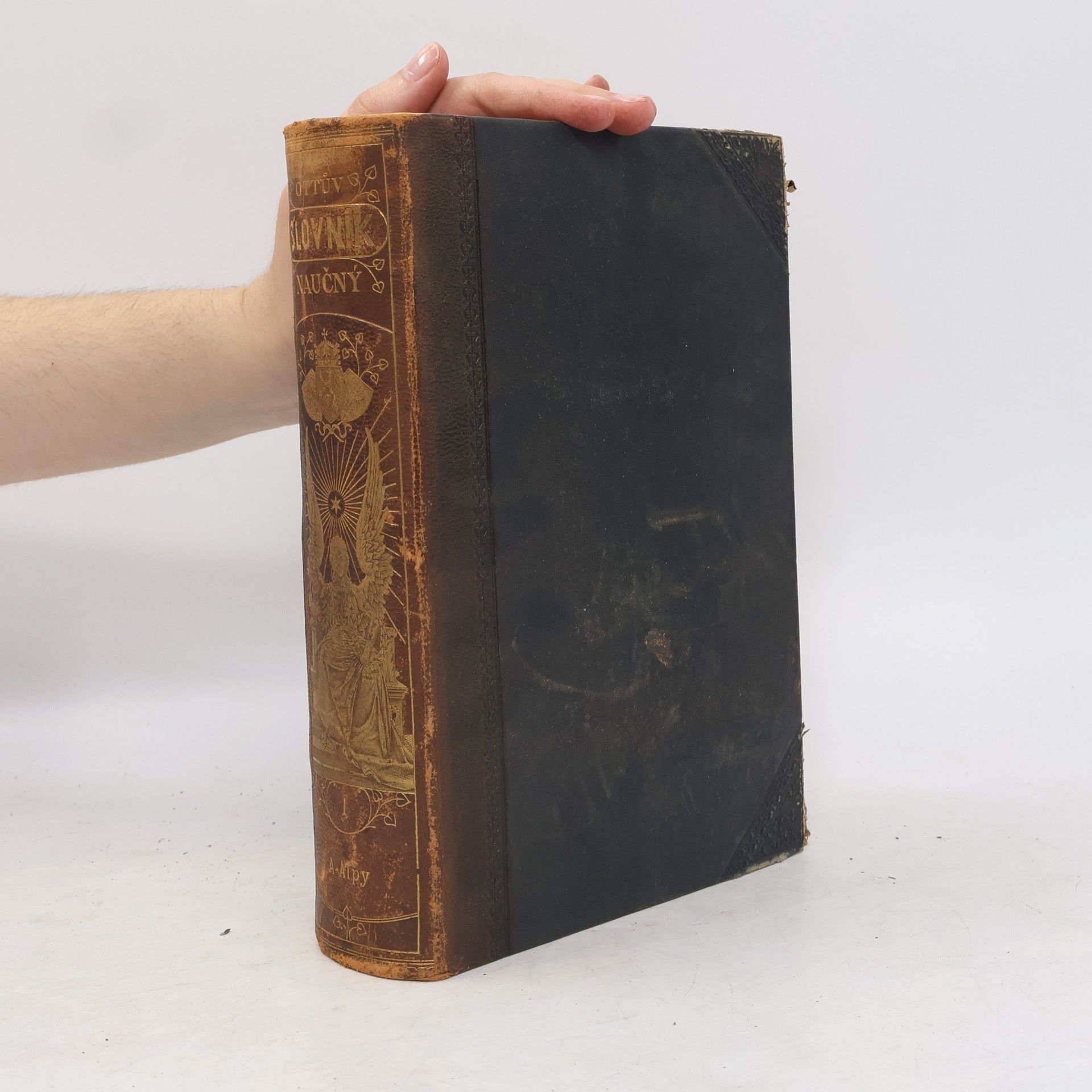 Autorenkollektiv Ottův slovník naučný. Díl I. A - Alpy.