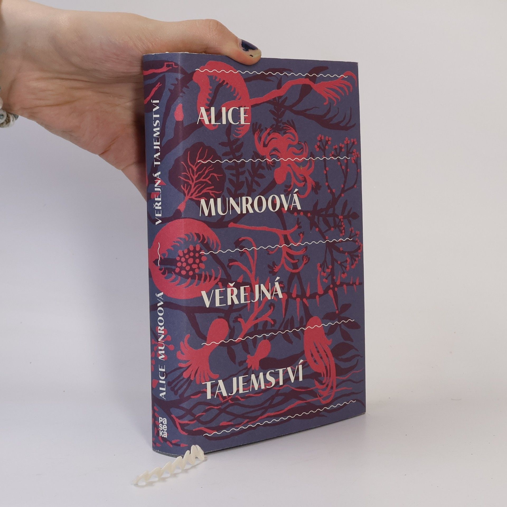 Alice Munro Veřejná tajemství