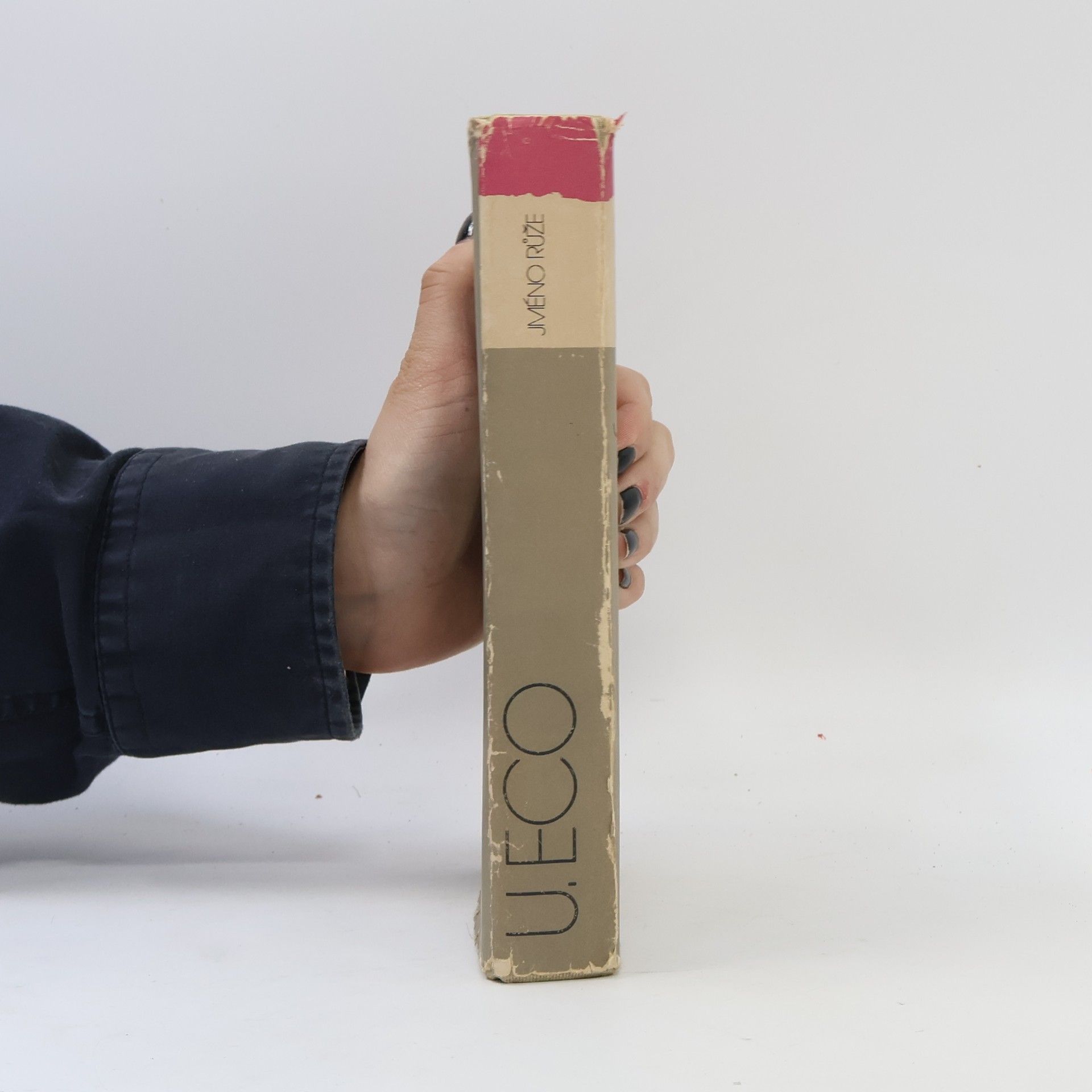 Umberto Eco Jméno růže