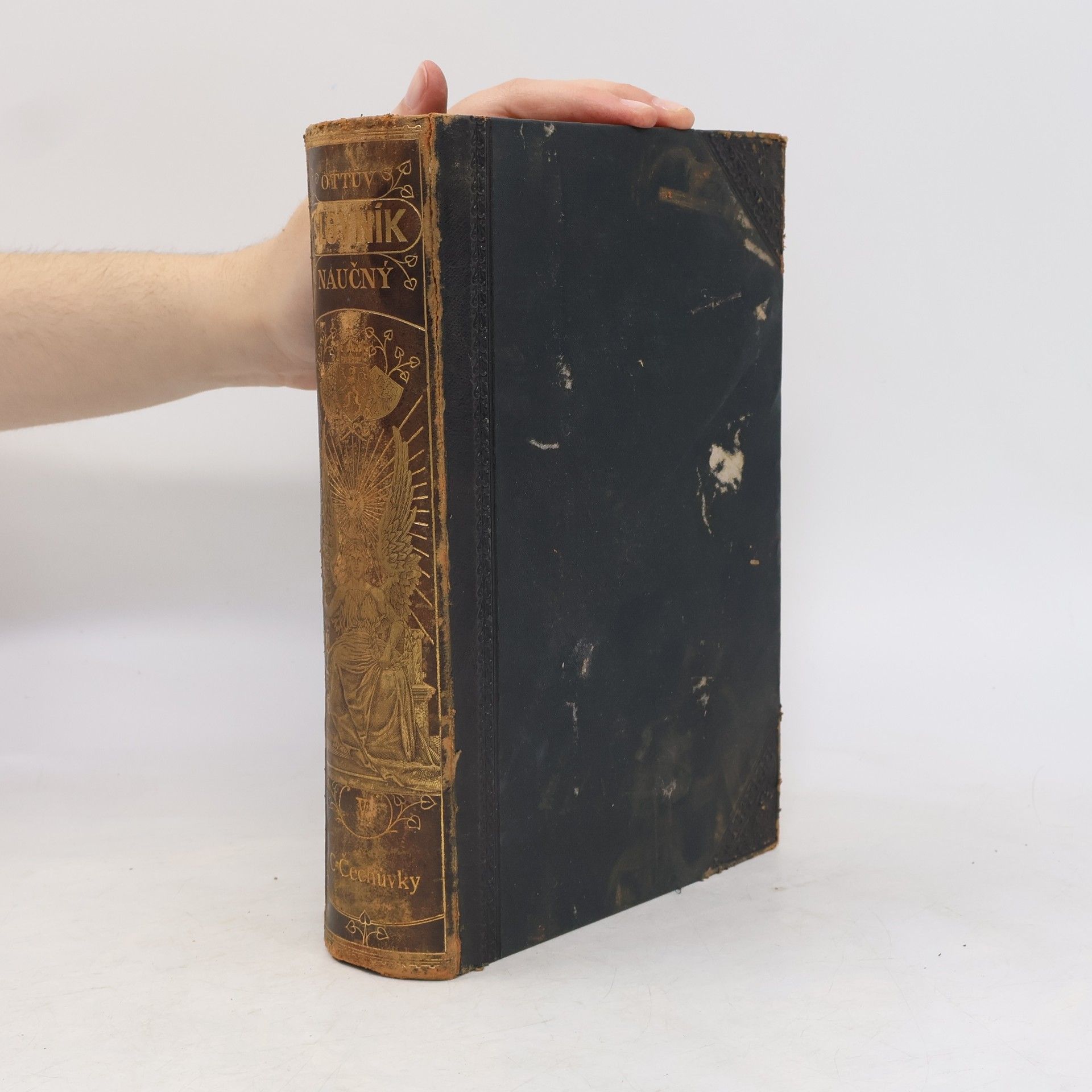 Autorenkollektiv Ottův slovník naučný V.