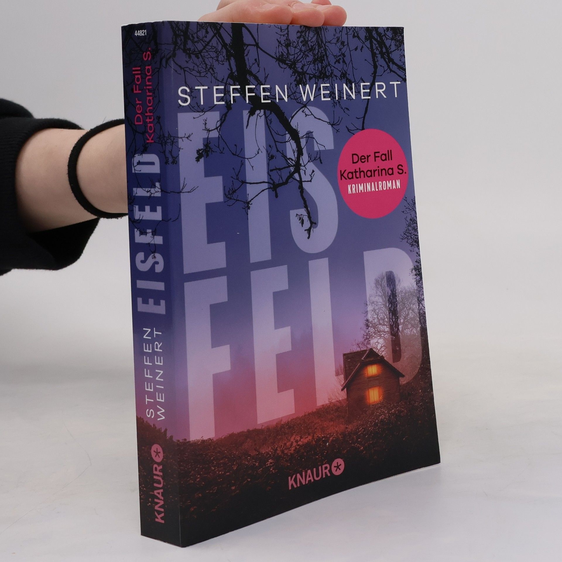 Steffen Weinert Eisfeld - Der Fall Katharina S.. Kriminalroman | Auftakt der hochspannenden, neuen Krimi-Reihe aus Berlin um eine totgeglaubte Frau und einen Wettlauf gegen die Zeit.