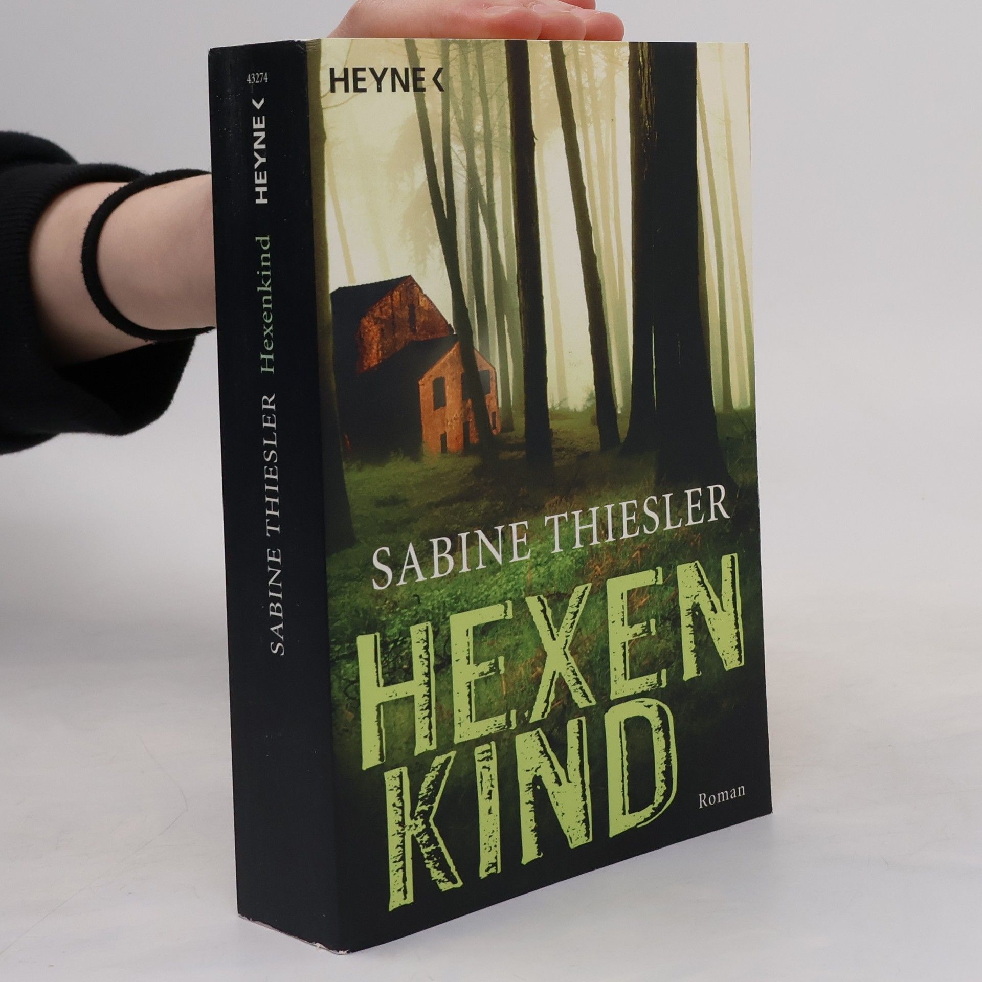 Sabine Thiesler Hexenkind - Roman