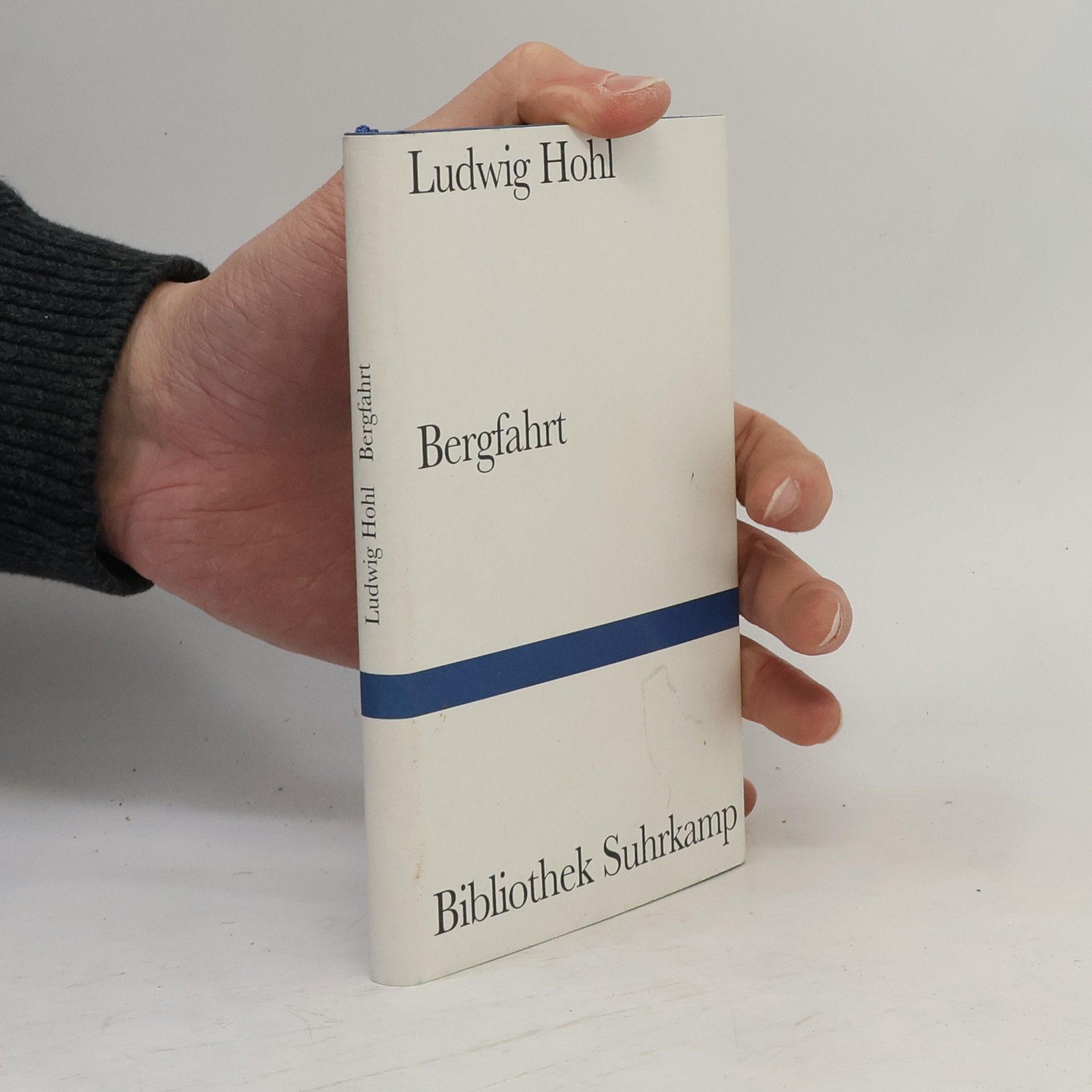 Ludwig Hohl Bergfahrt