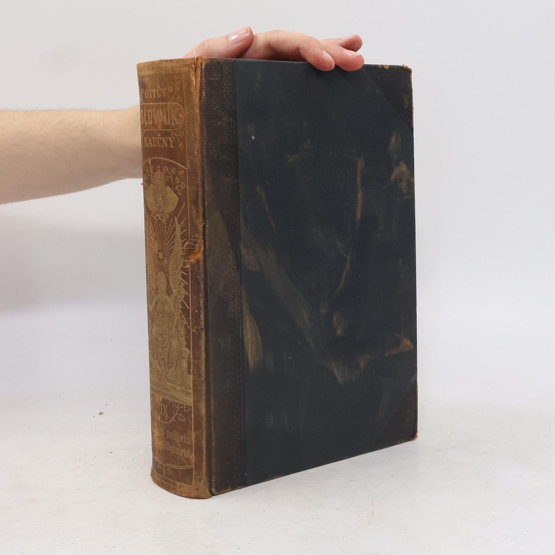 Autorenkollektiv Ottův slovník naučný IX