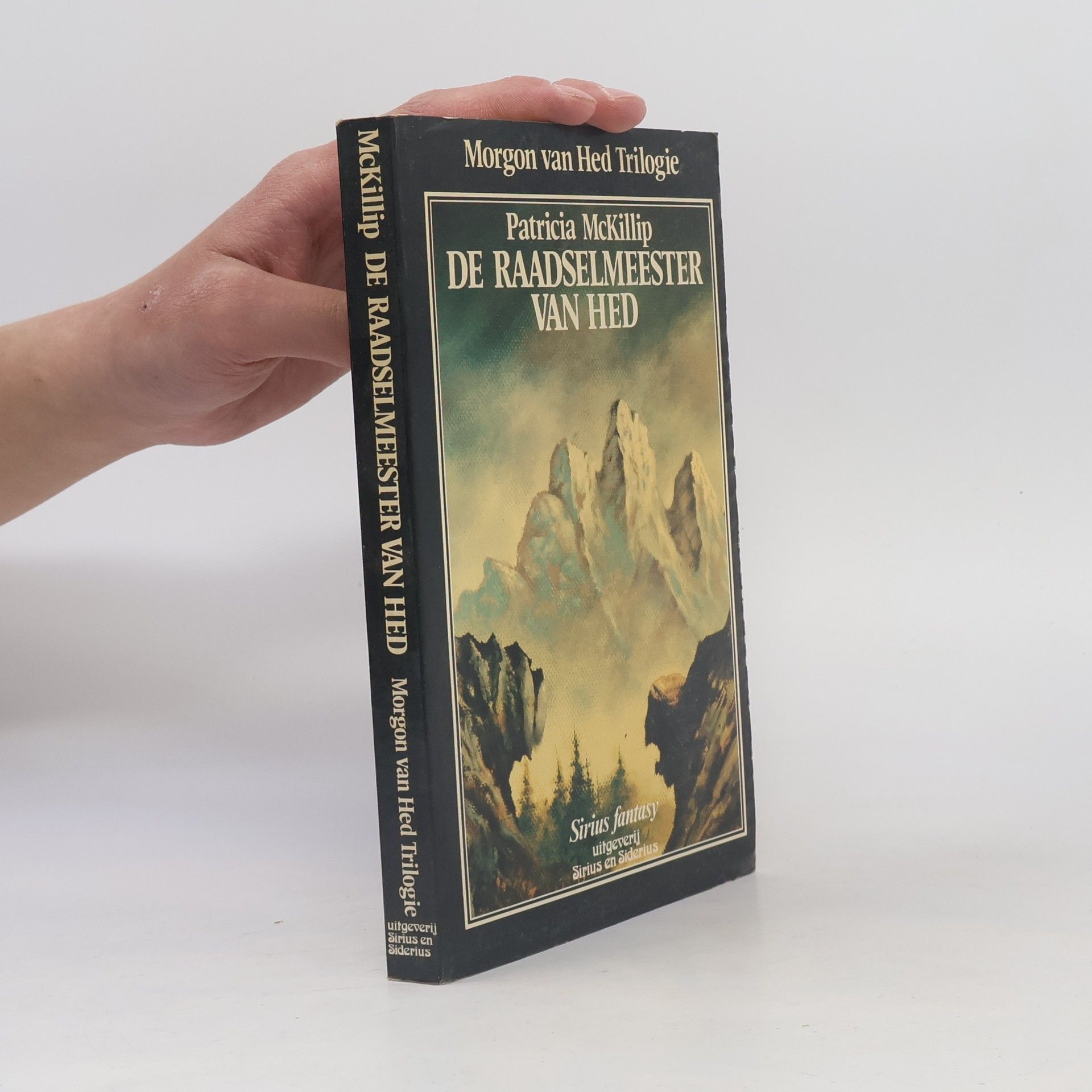 Francien Valk De raadselmeester van Hed