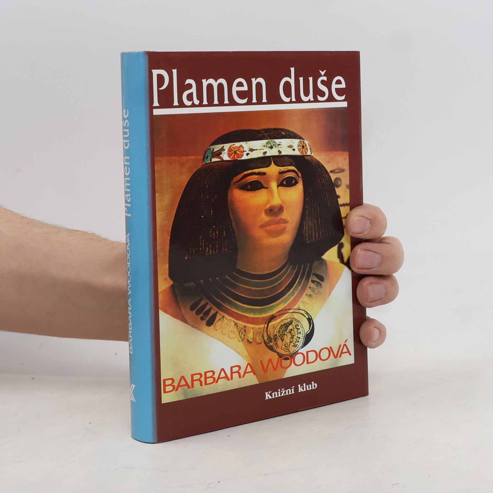 Barbara Wood Plamen duše