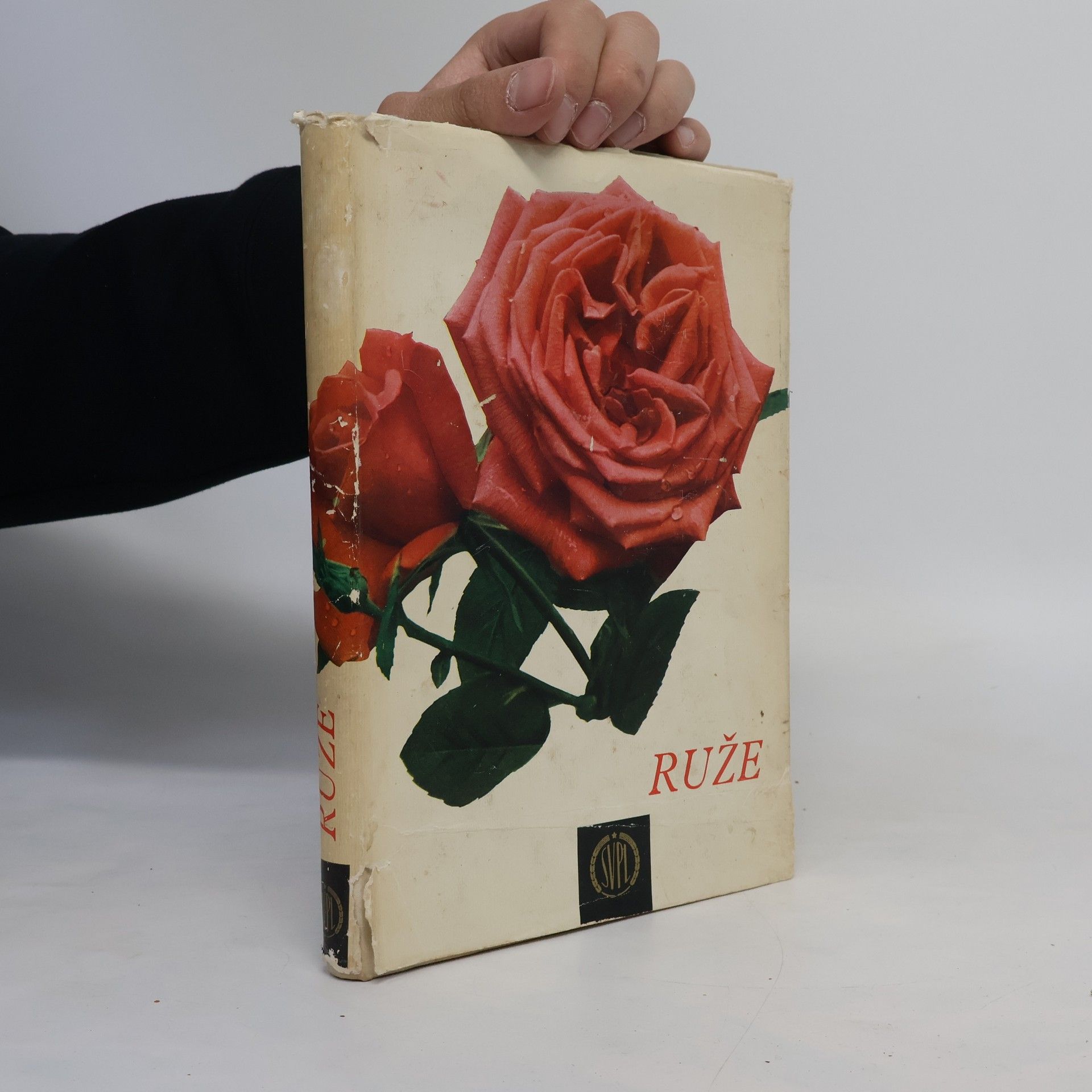 Ludvík Večeřa Ruže