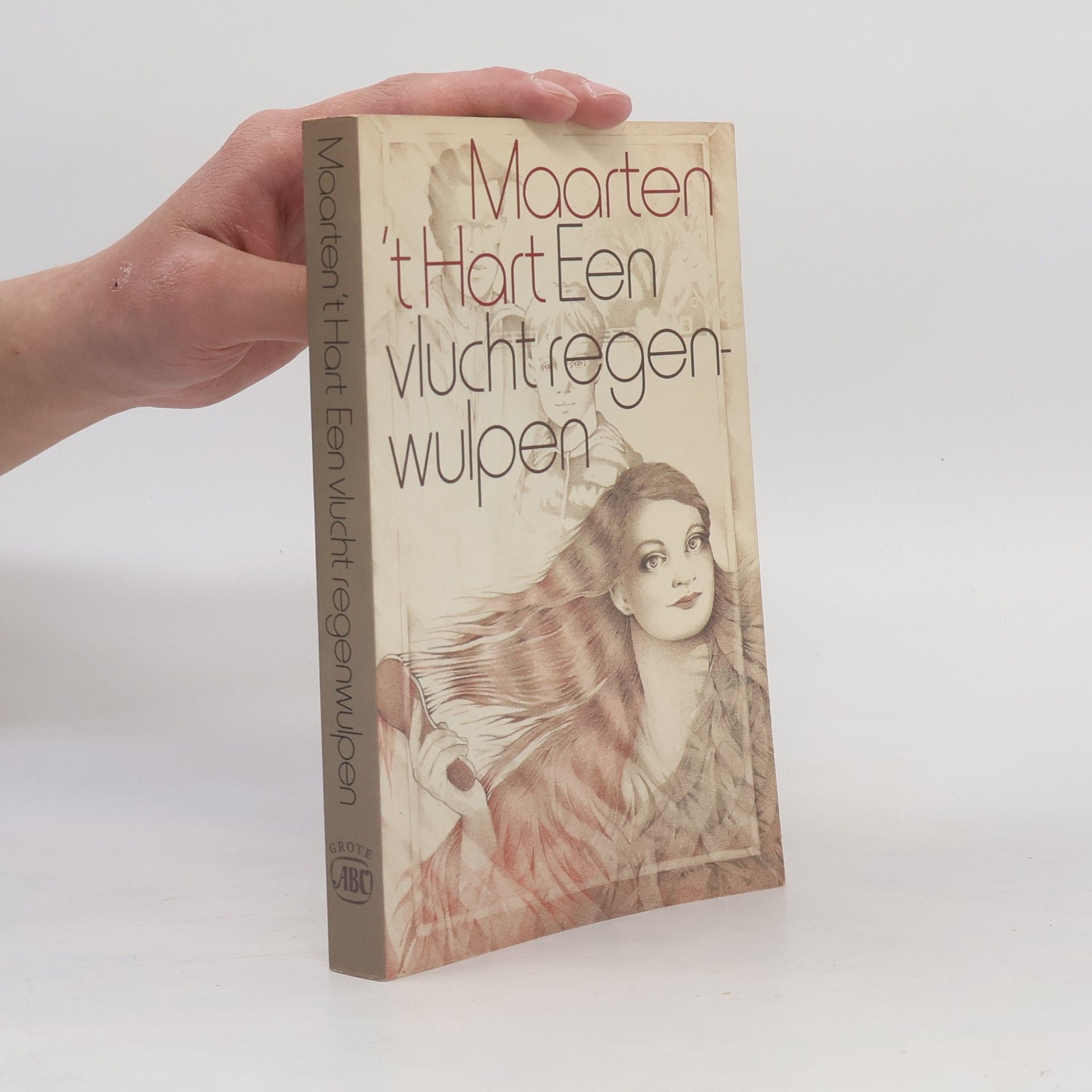 Maarten ’t Hart Een vlucht regenwulpen