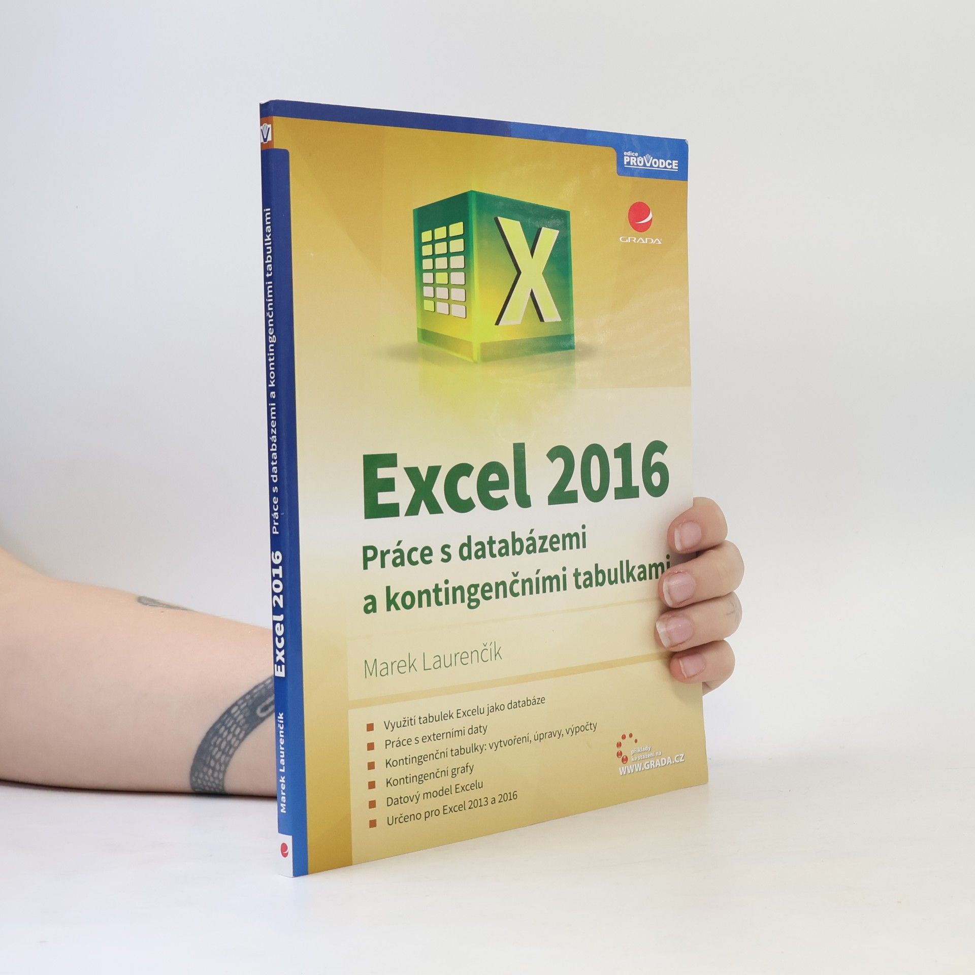 Excel 2016 : práce s databázemi a kontingenčními tabulkami