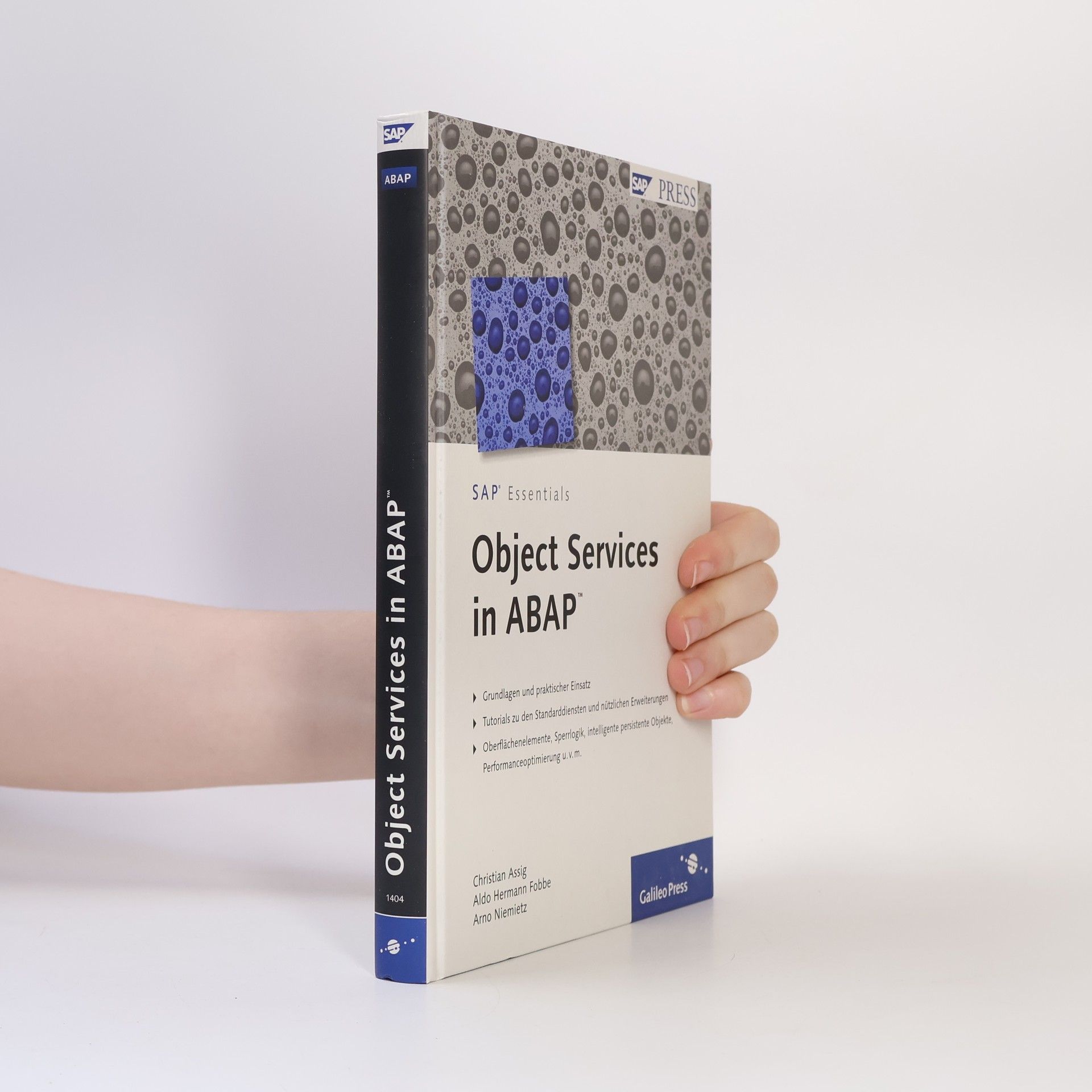 Christian Assig Object Services in ABAP