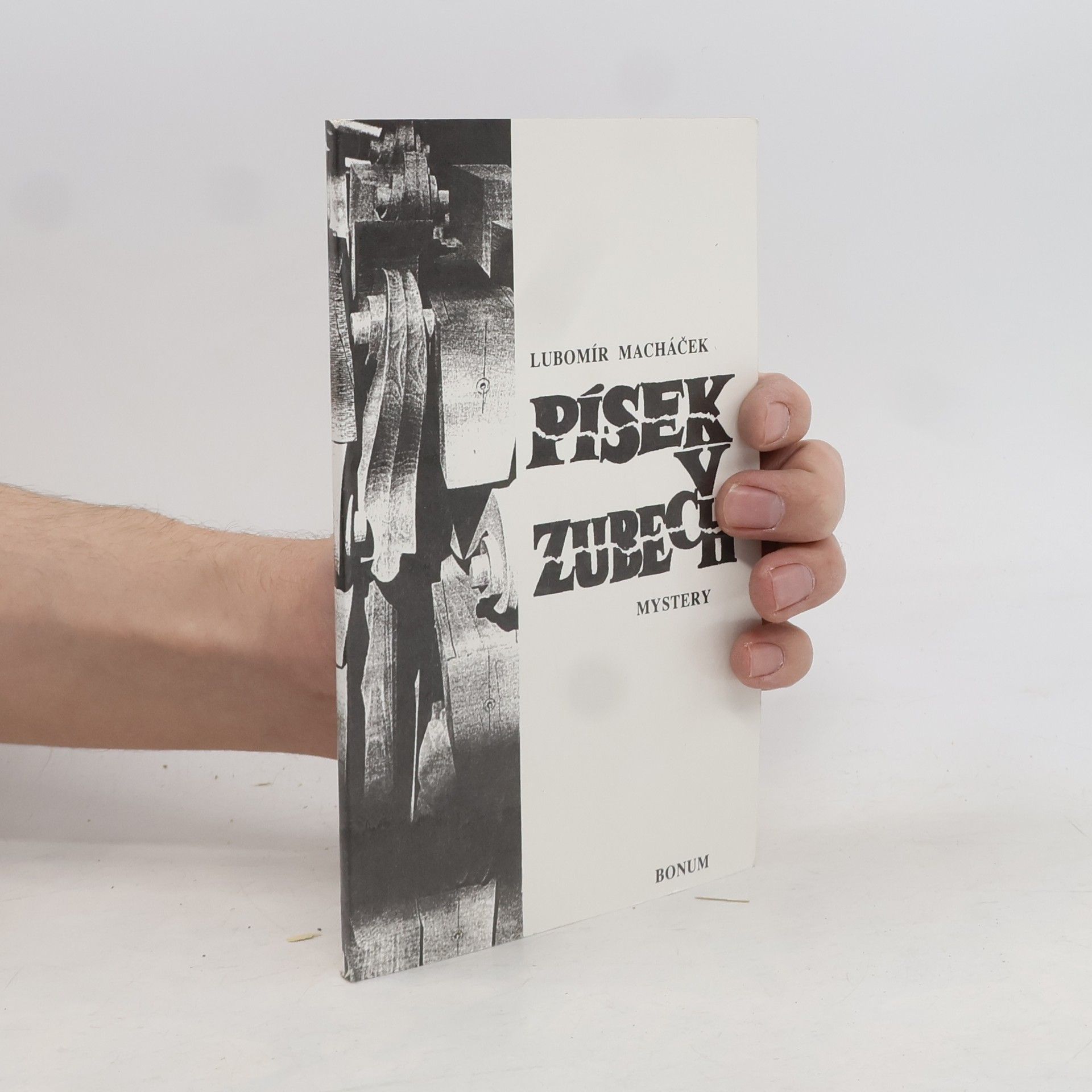 Lubomír Macháček Písek v zubech