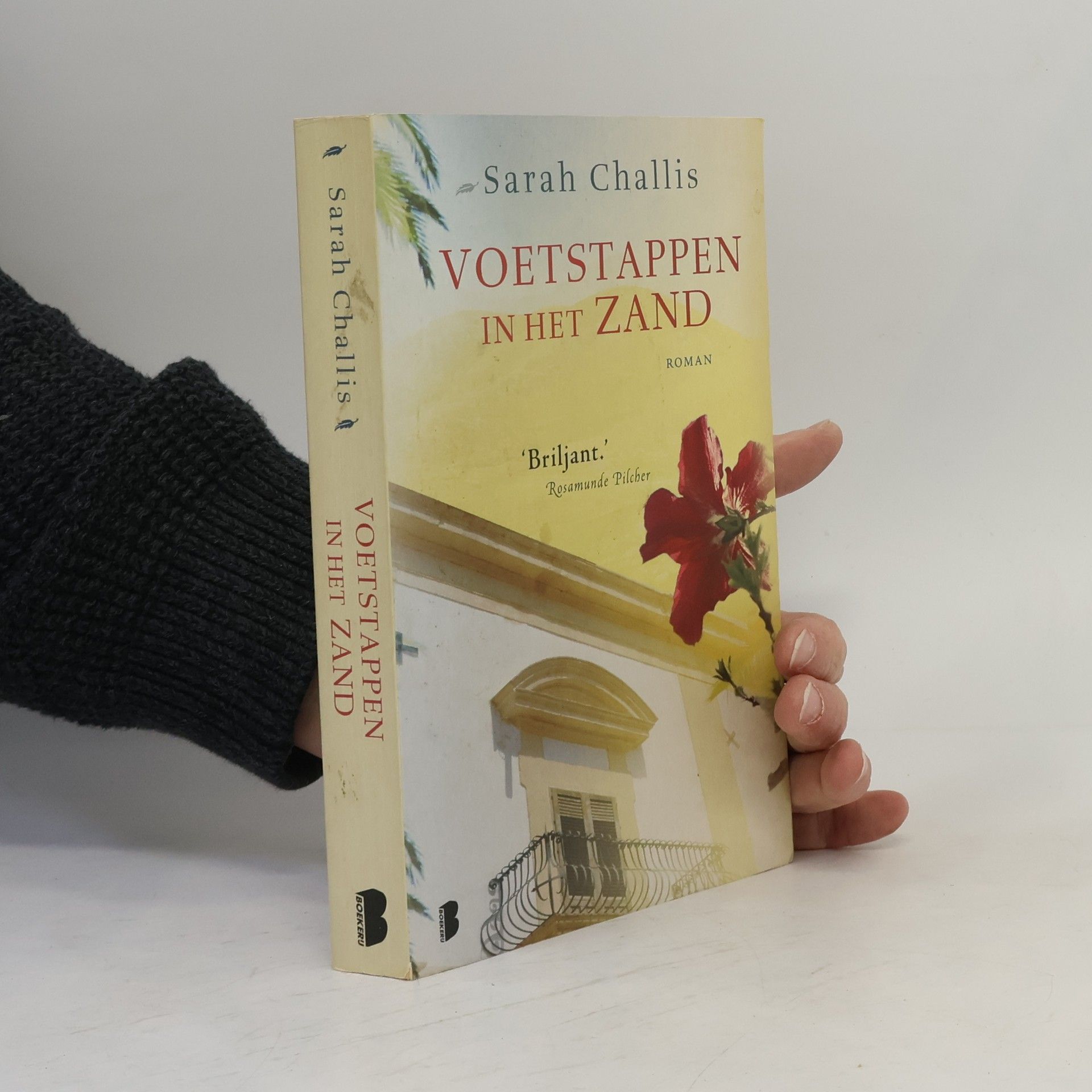 Voetstappen in het zand