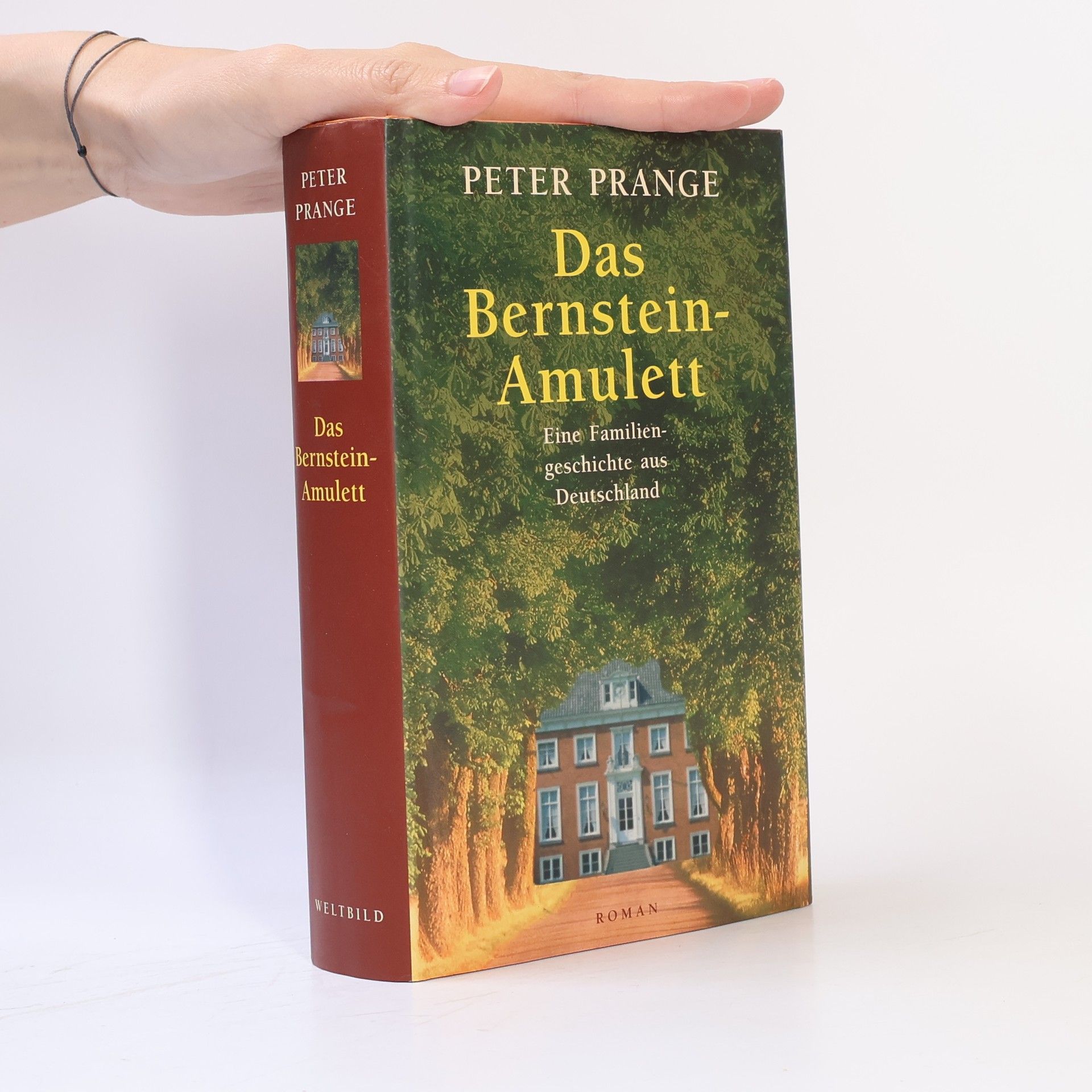 Peter Prange Das Bernstein-Amulett