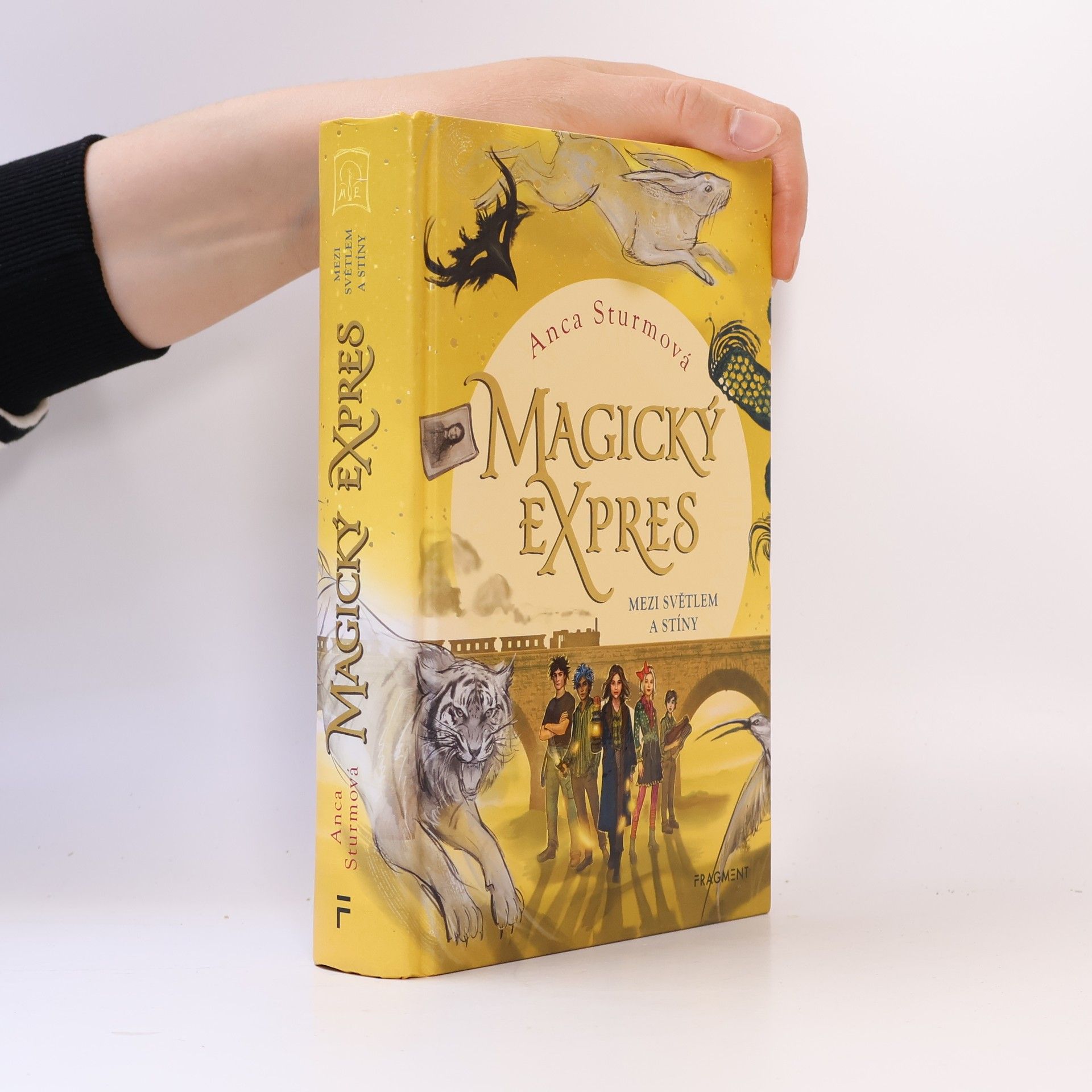 Anca Sturm Mezi světlem a stíny