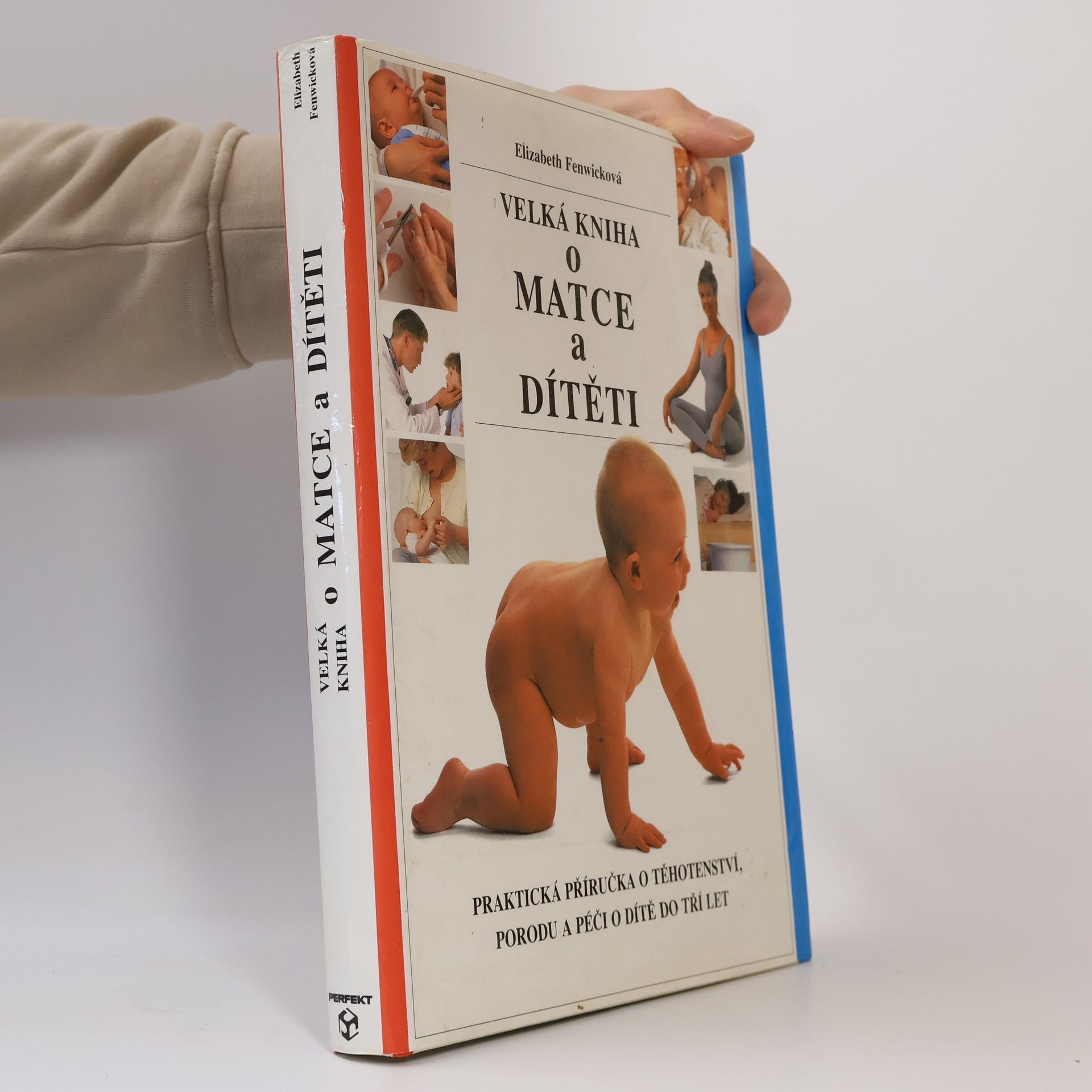Elizabeth Fenwick Velká kniha o matce a dítěti