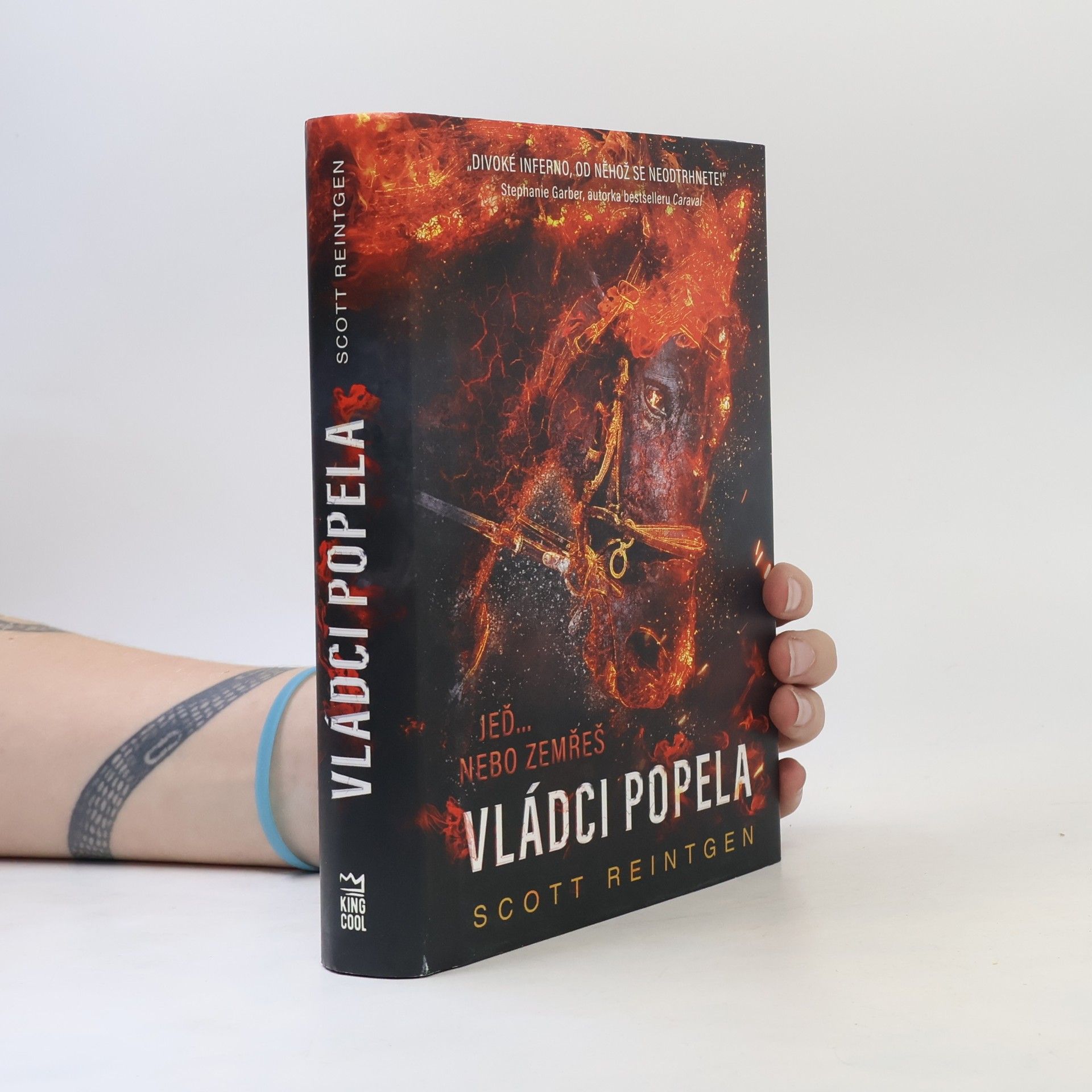 Scott Reintgen Vládci popela