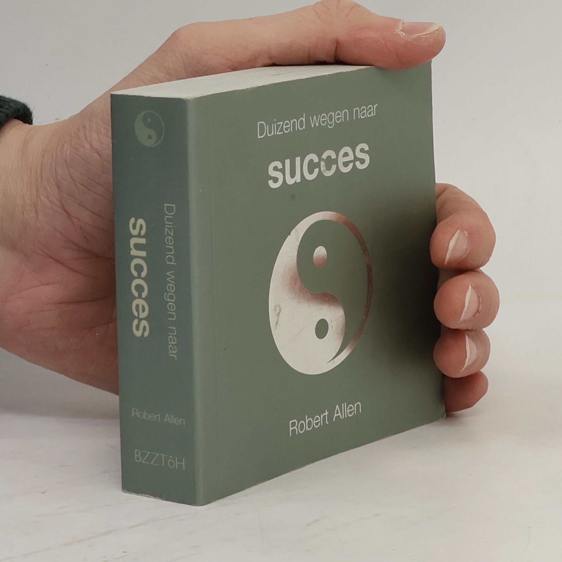 Duizend wegen naar succes