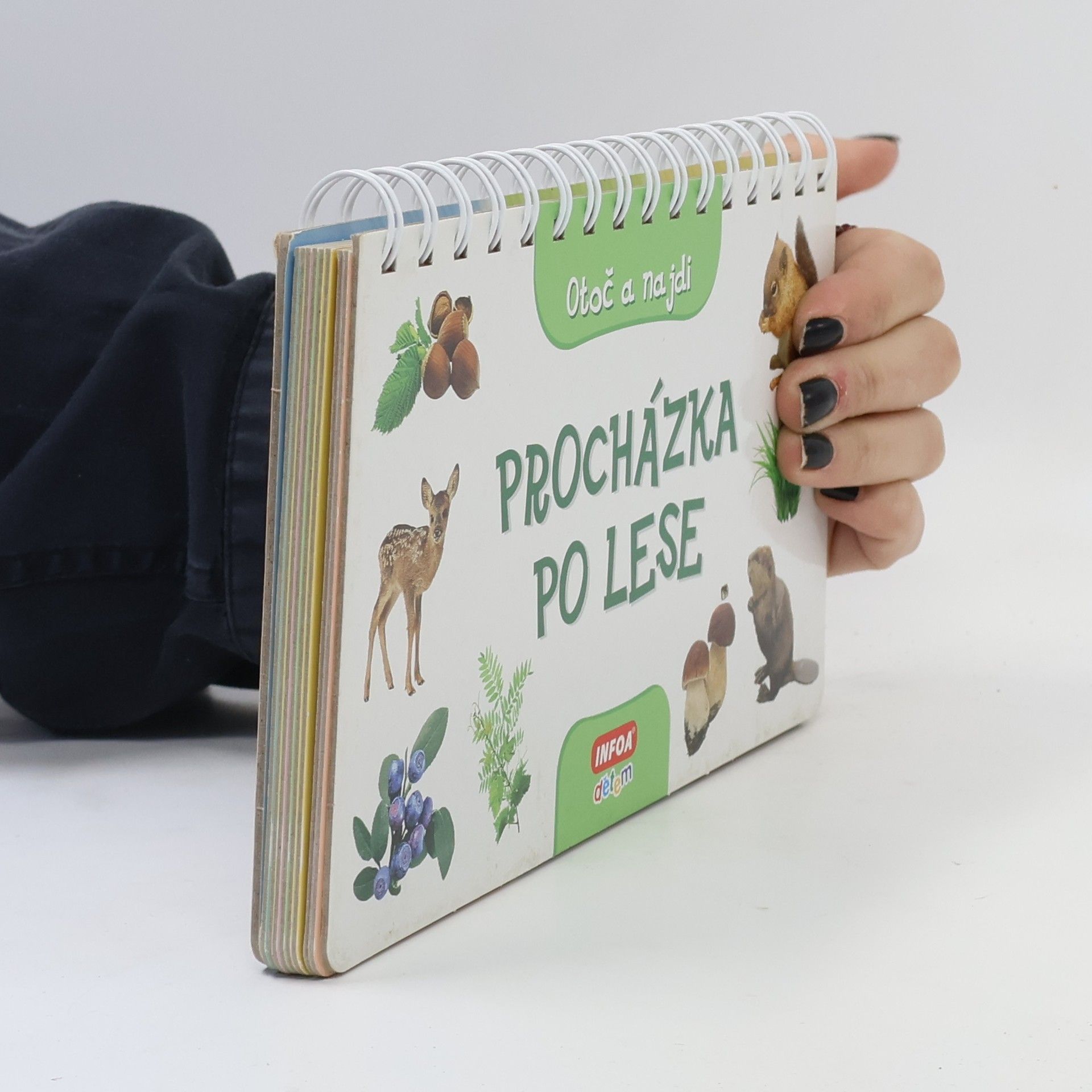 Collectif d'auteurs Procházka po lese