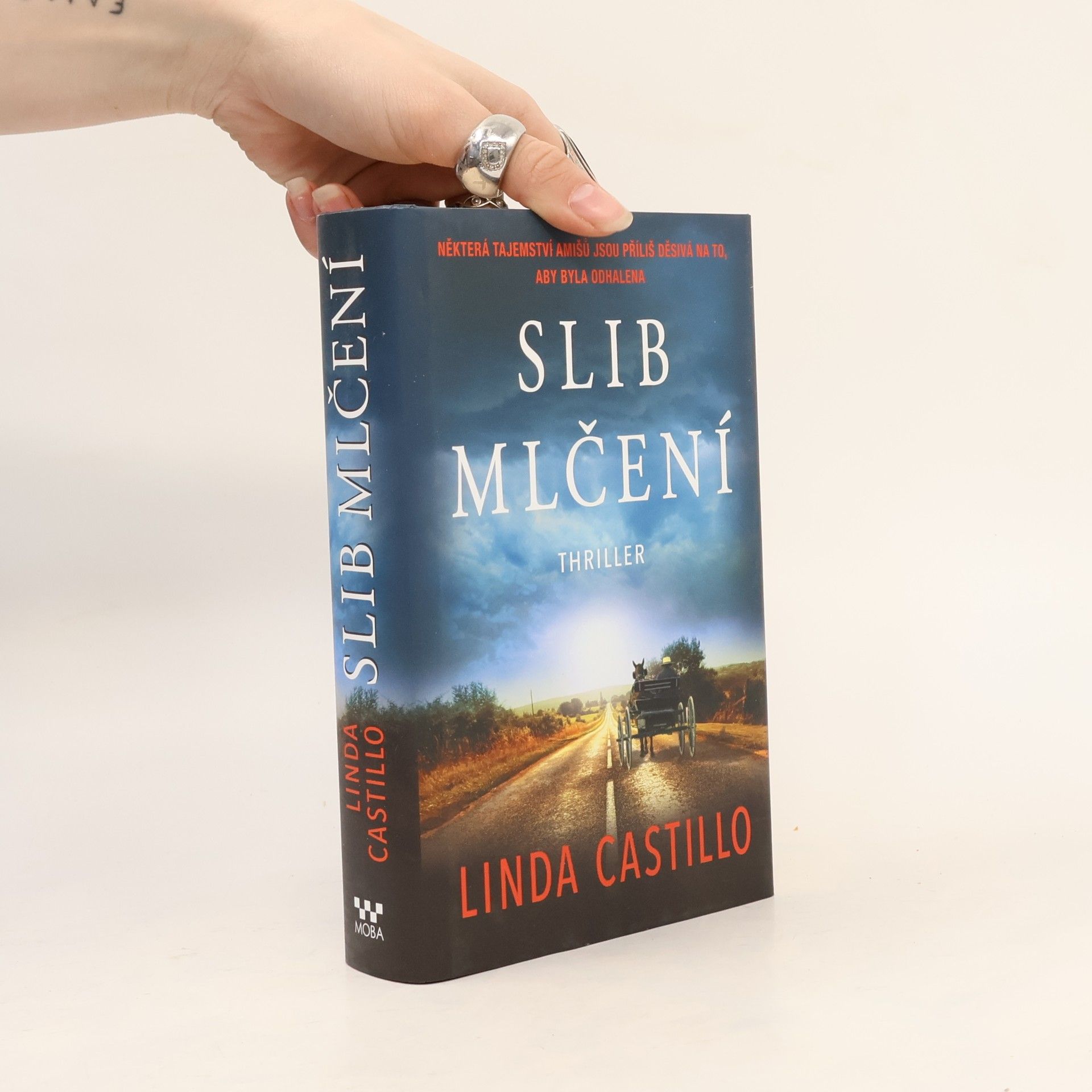 Linda Castillo Slib mlčení