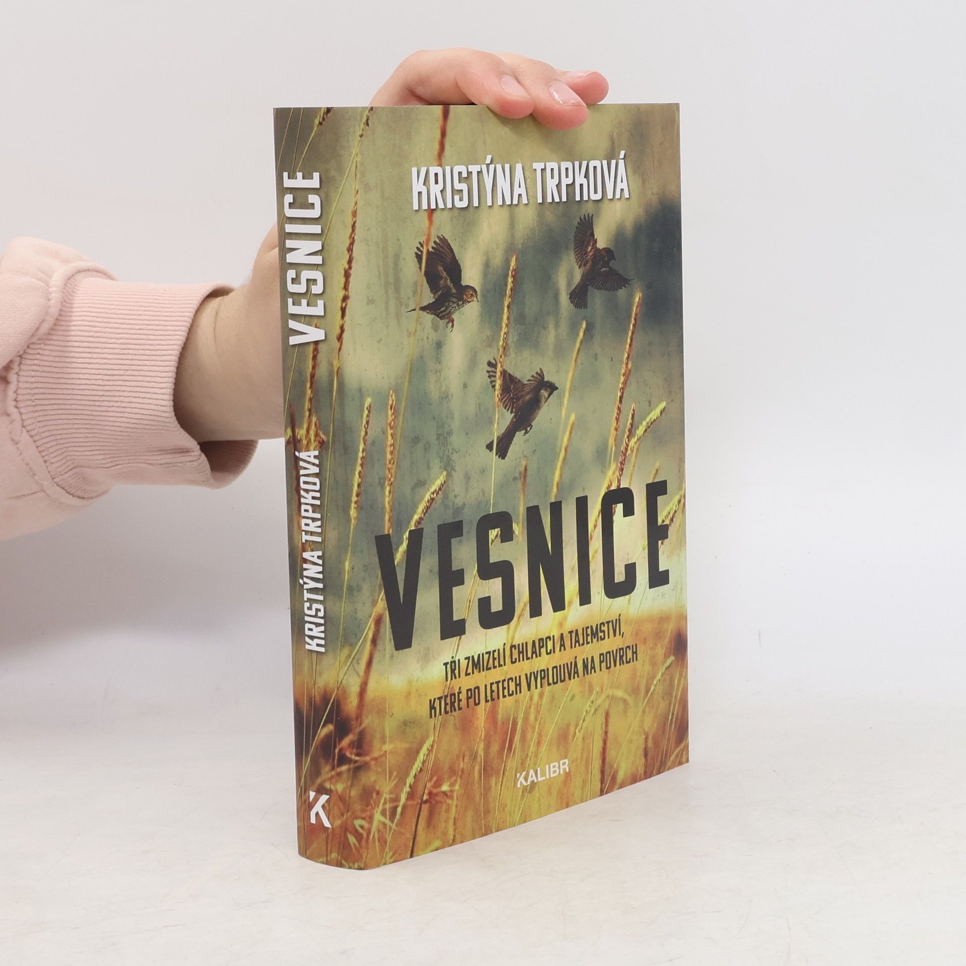 Kristýna Trpková Vesnice