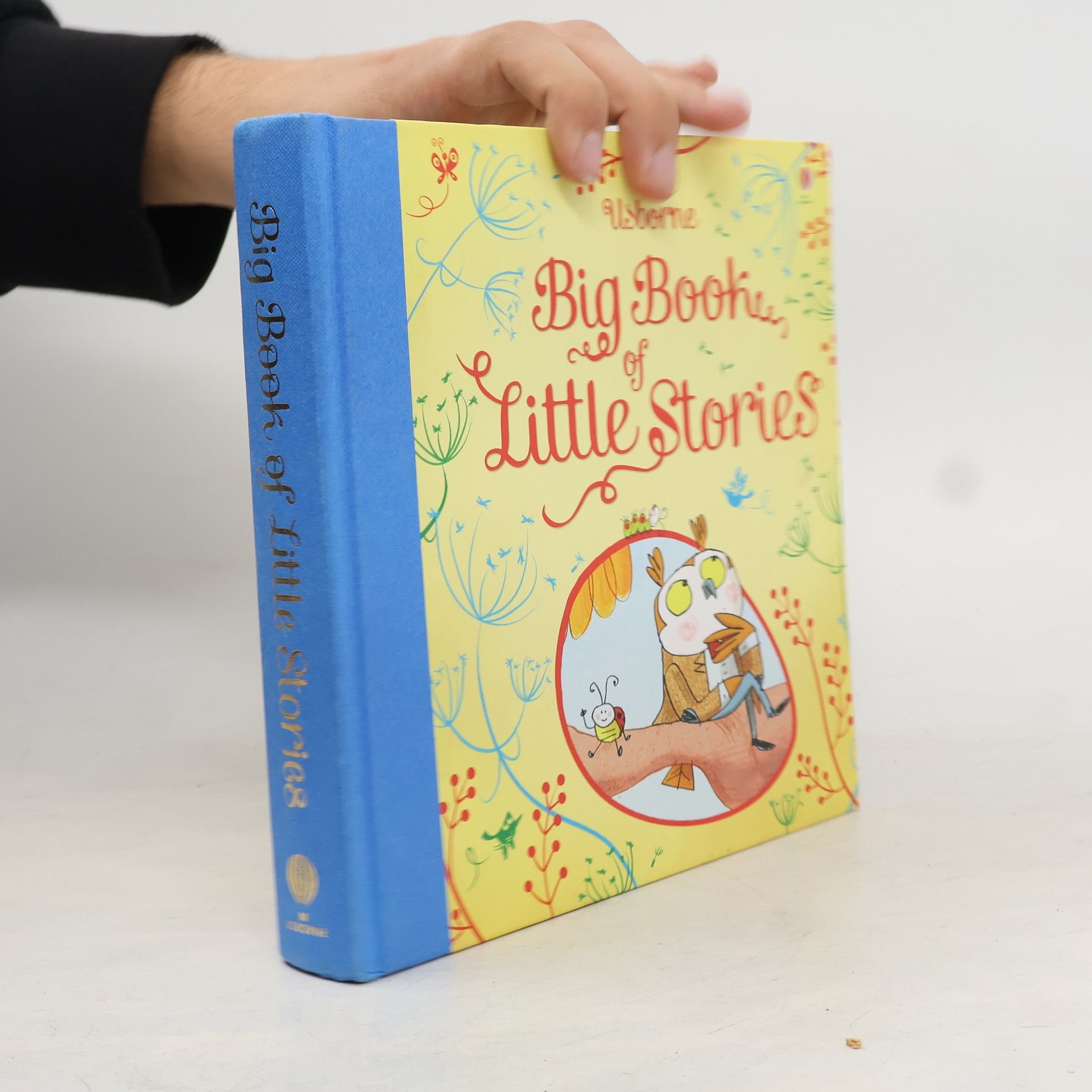 Autorenkollektiv Story Collections for Little Children: Big Book of Little Stories
