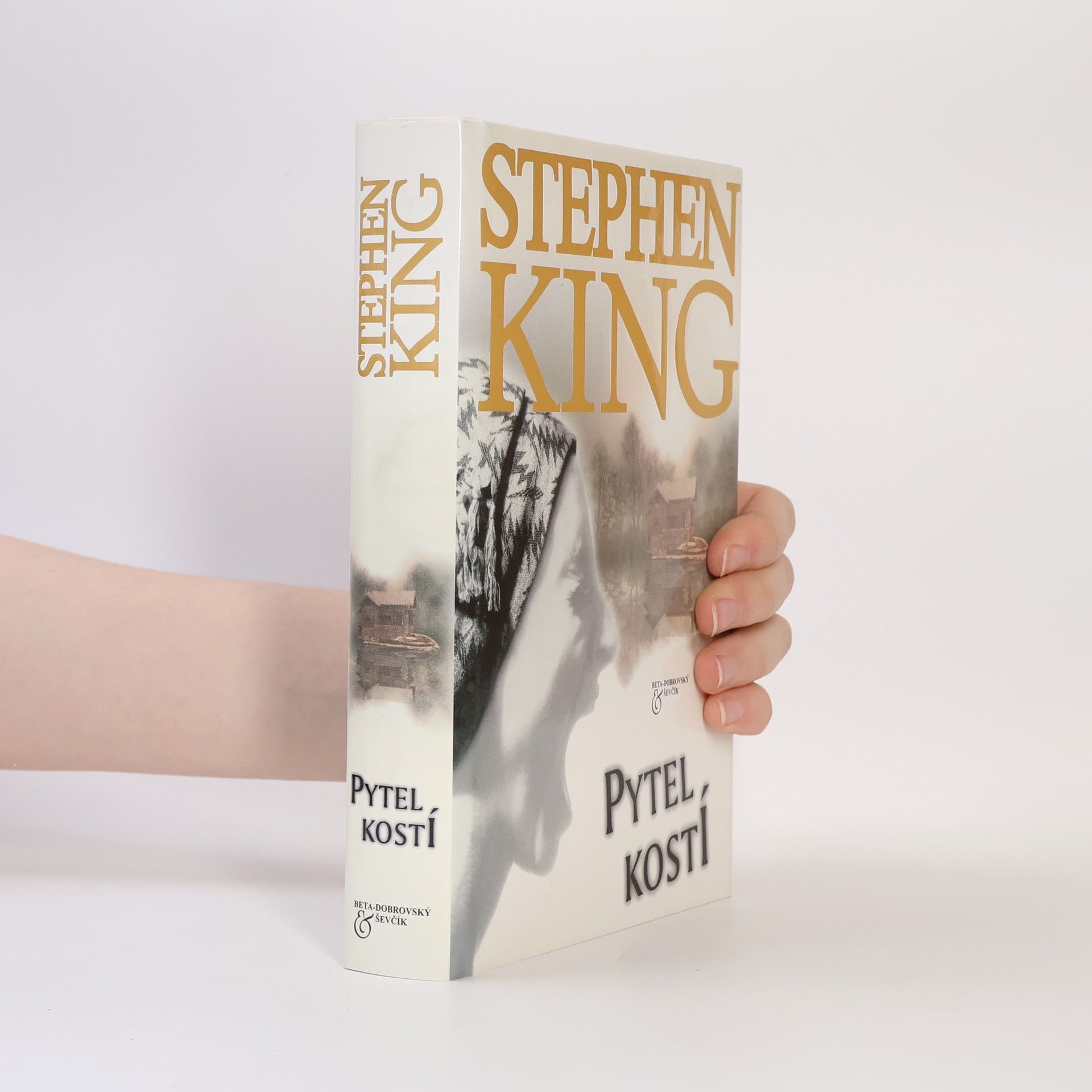 Stephen King Pytel kostí