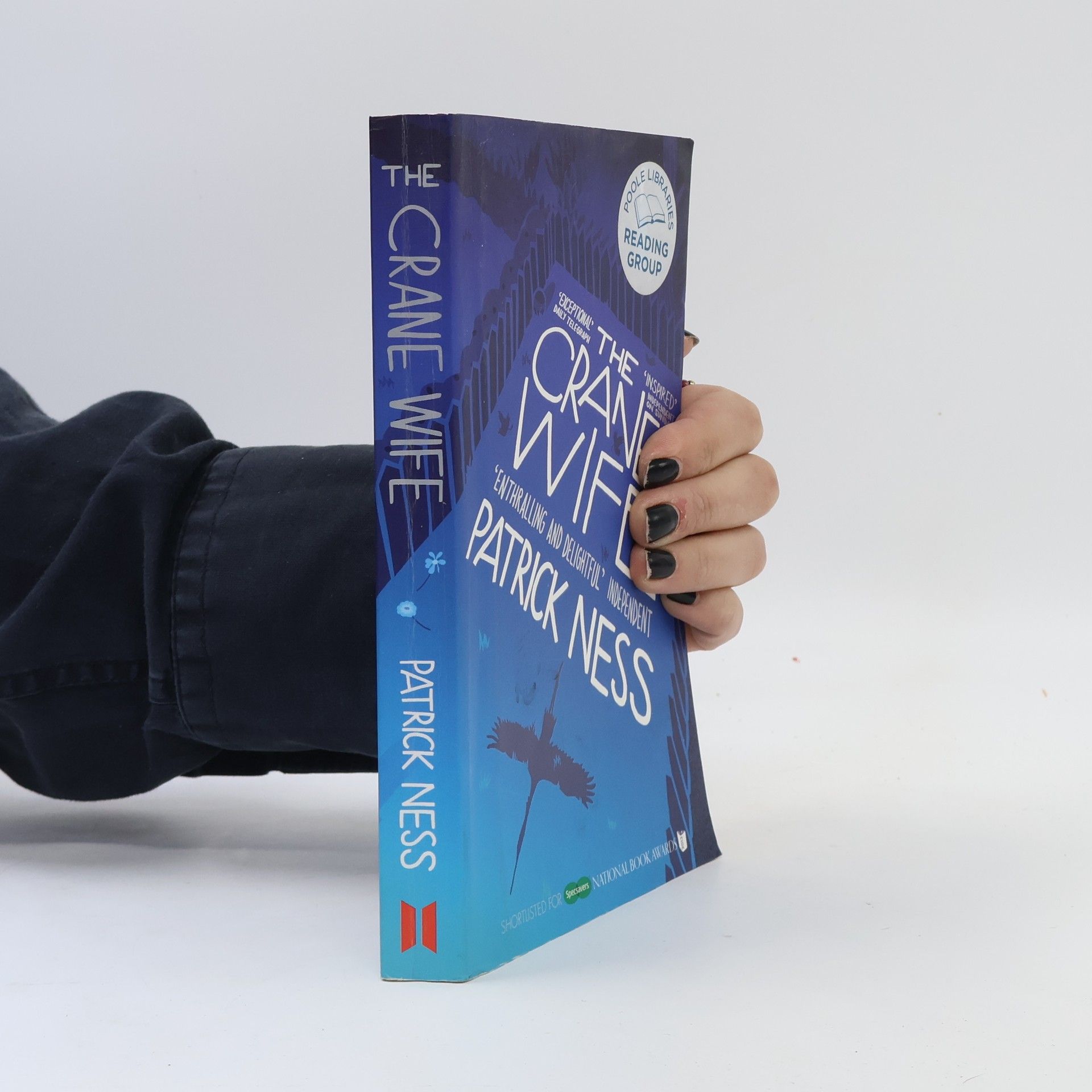 Patrick Ness The Crane Wife