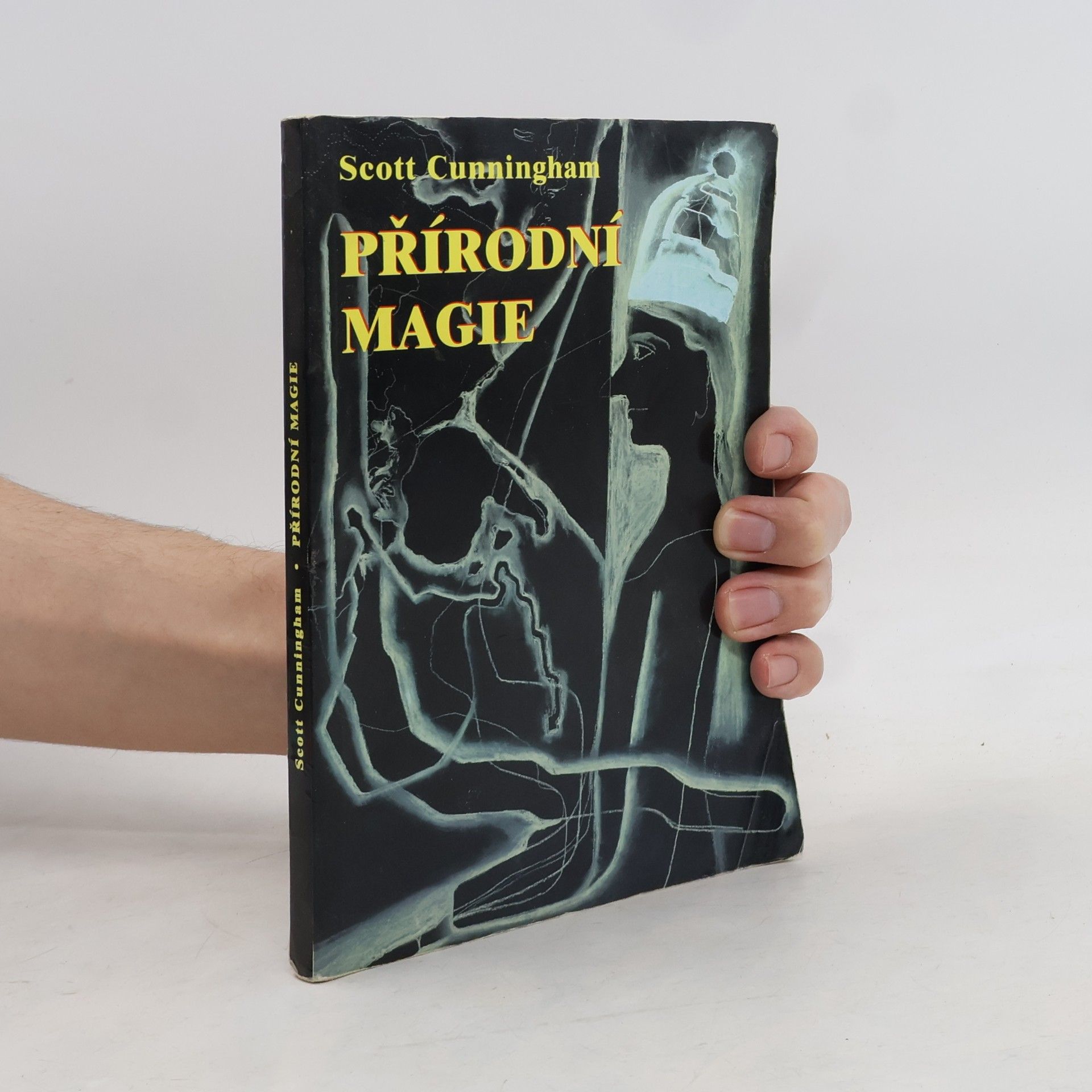 Scott Cunningham Přírodní magie : (Země, vzduch, oheň a voda)