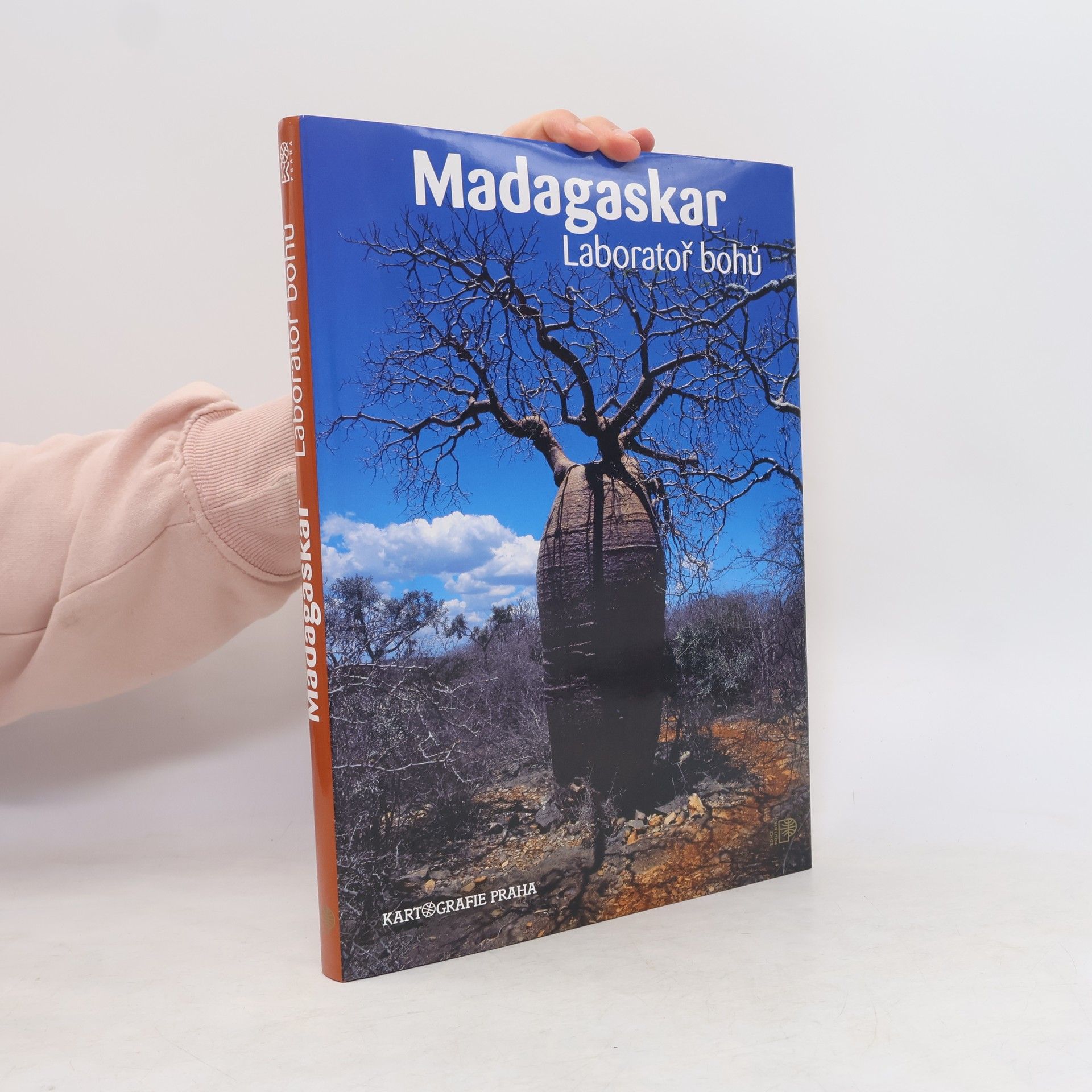 Růžena BeandapaKytlová Madagaskar : laboratoř bohů