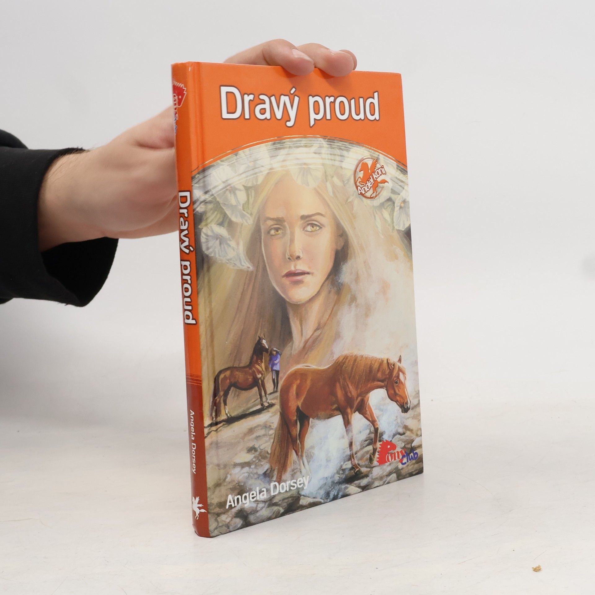 Angela Dorsey Dravý proud