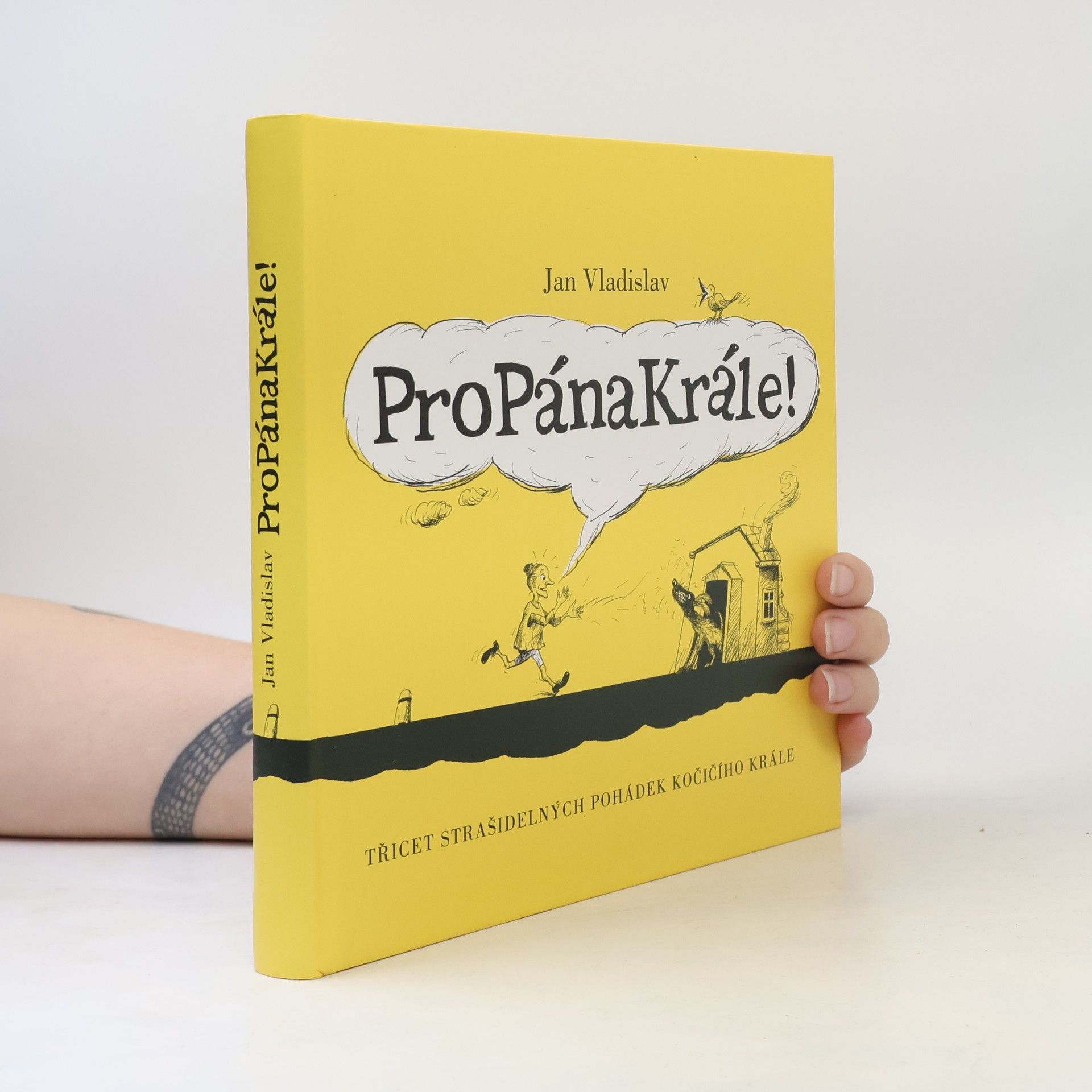 Lenka Jasanská ProPánaKrále! : [třicet strašidelných pohádek kočičího krále]