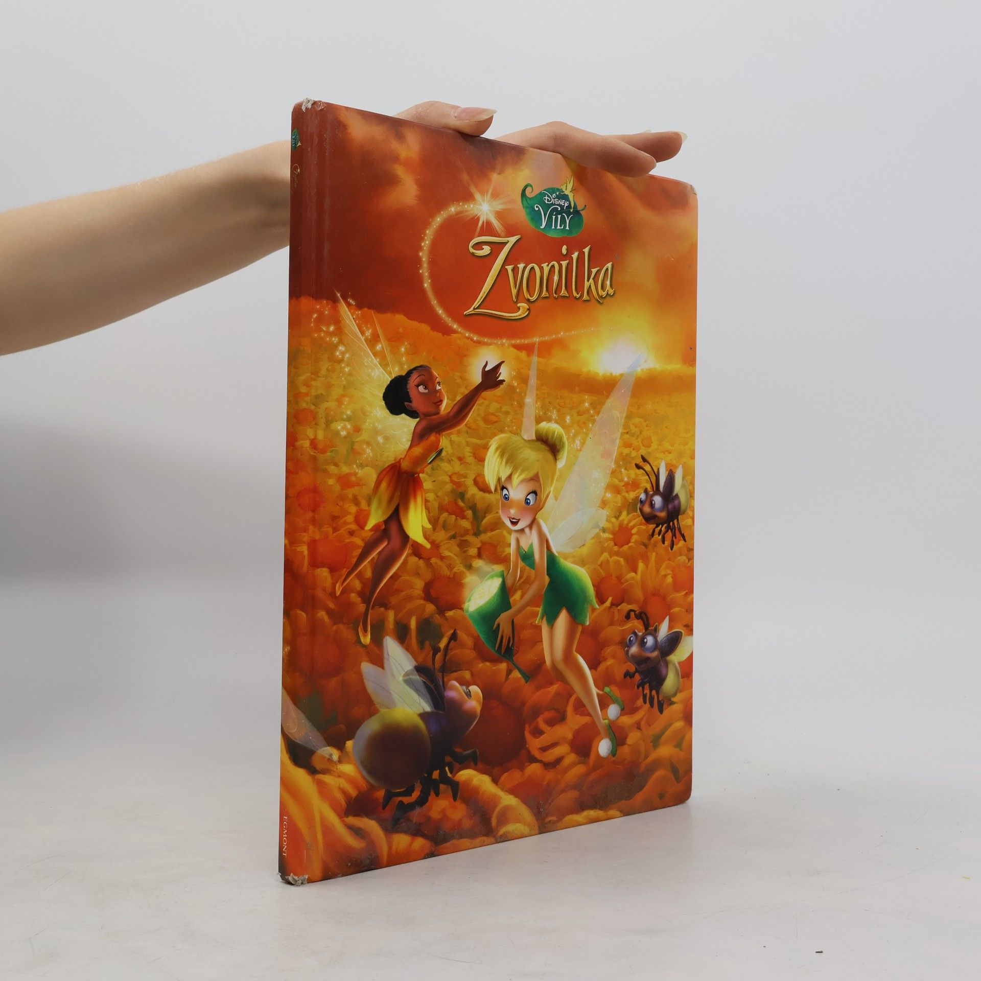 Lisa Ann Marsoli Zvonilka