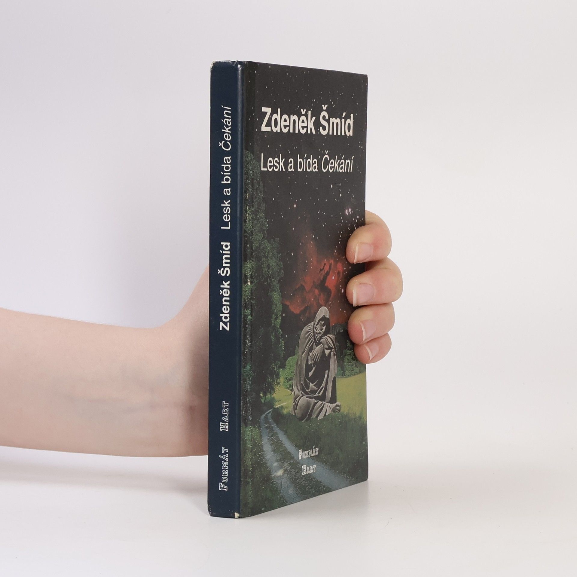 Zdeněk Šmíd Lesk a bída Čekání