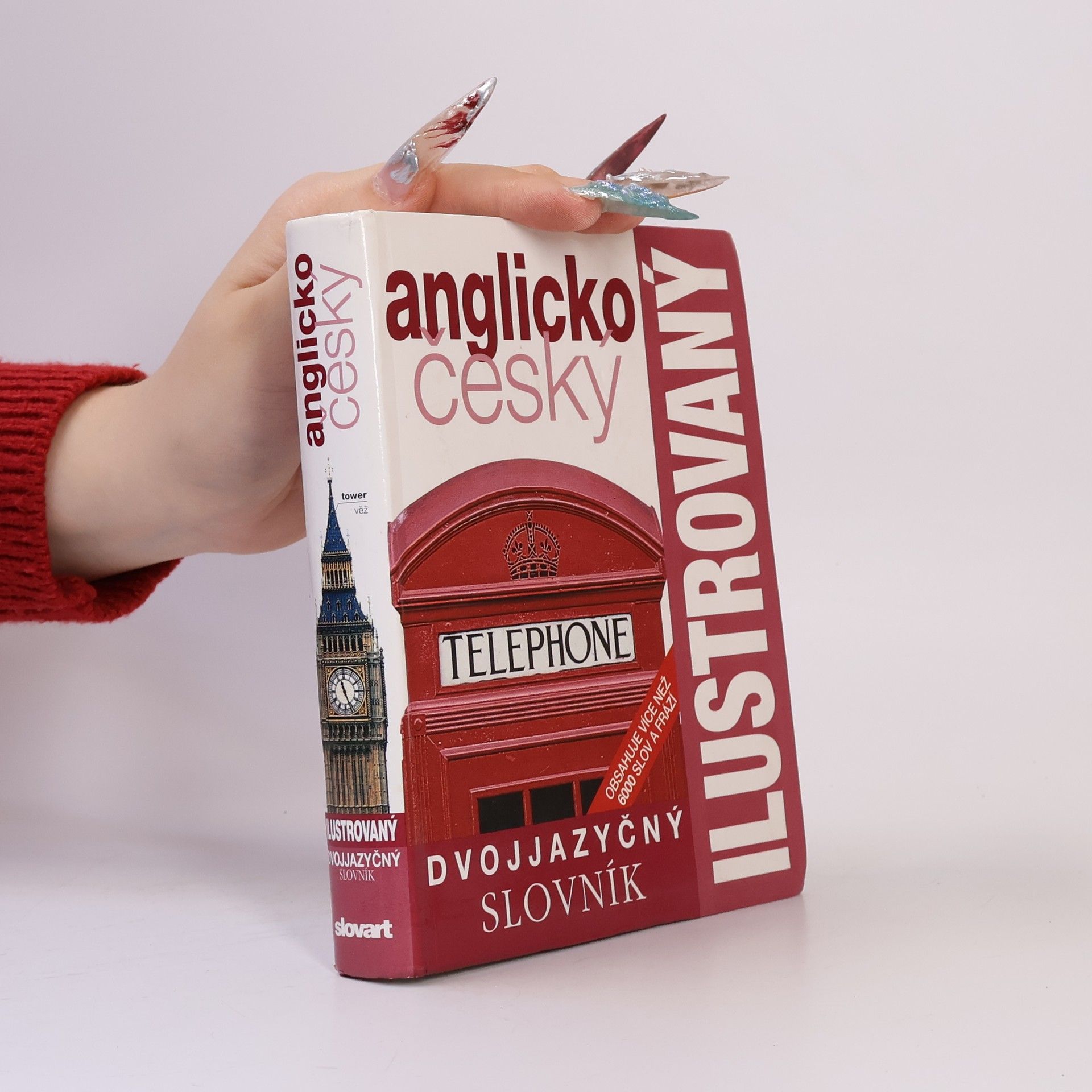 Autorenkollektiv Dvojjazyčný anglicko český ilustrovaný slovník