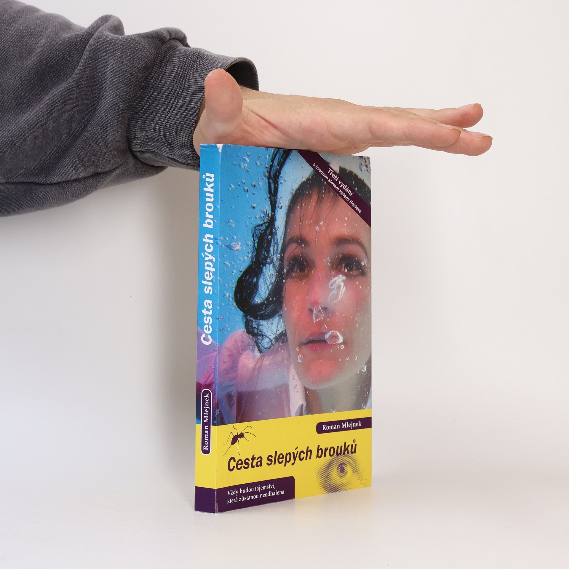 Roman Mlejnek Cesta slepých brouků