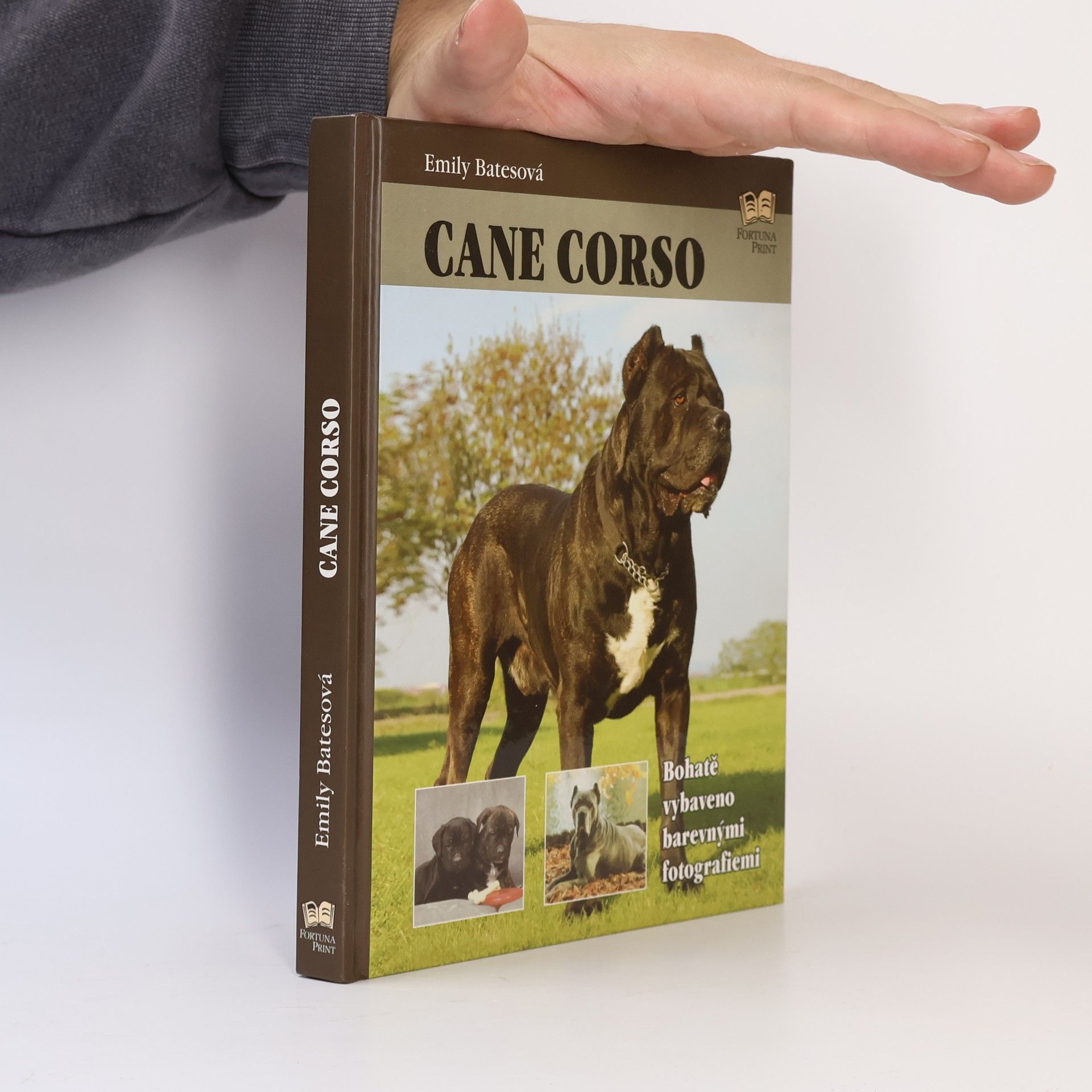 Emily Bates Cane Corso