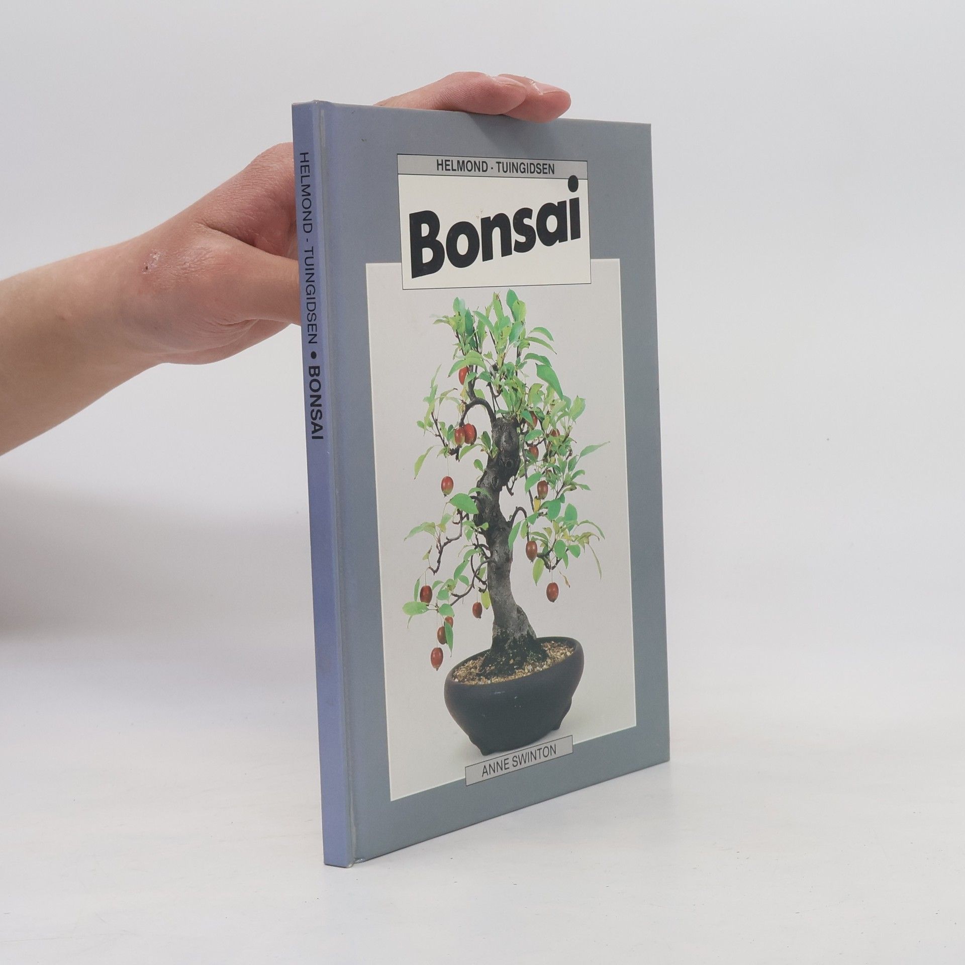 Anne Swinton Bonsai