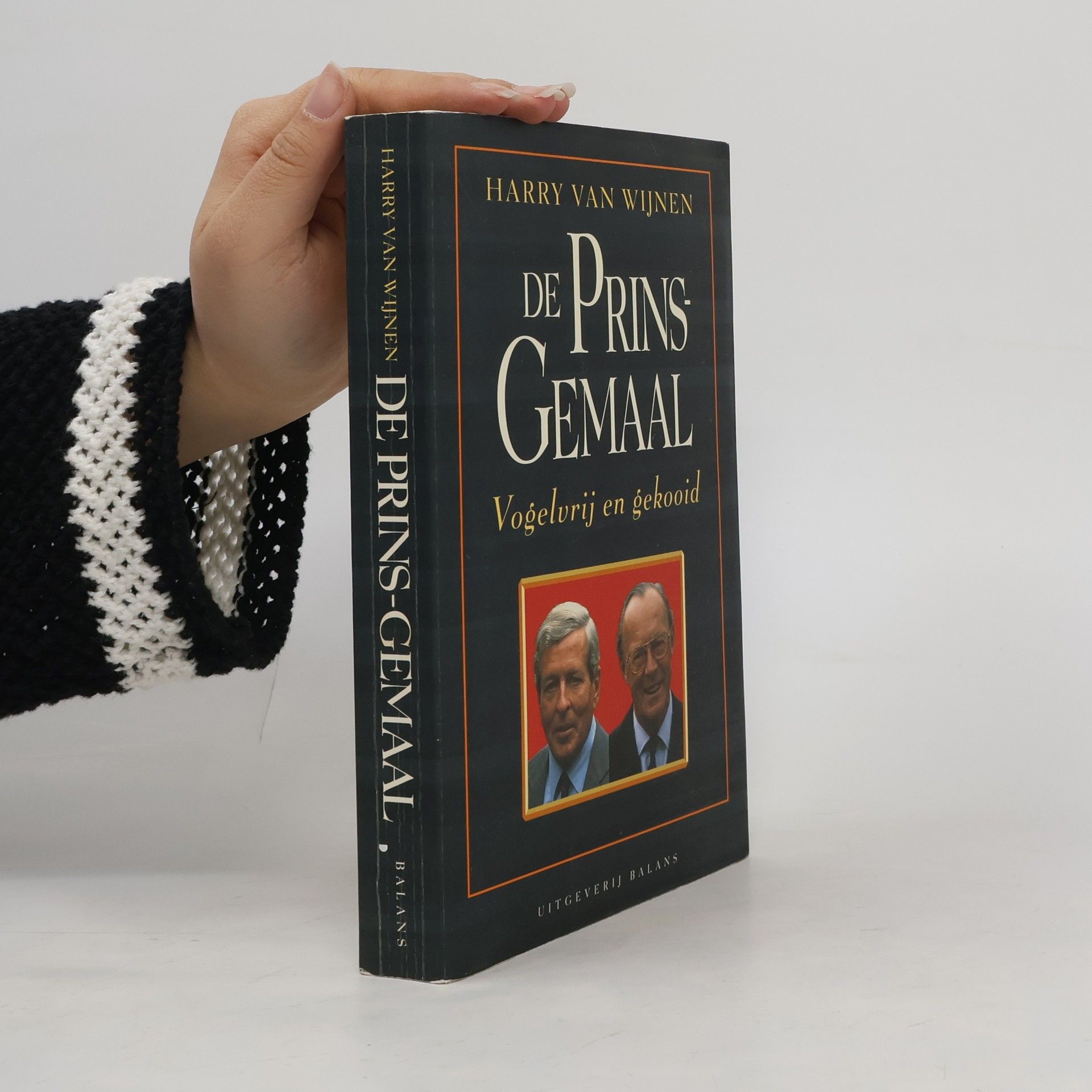 Harry van Wijnen De prins-gemaal