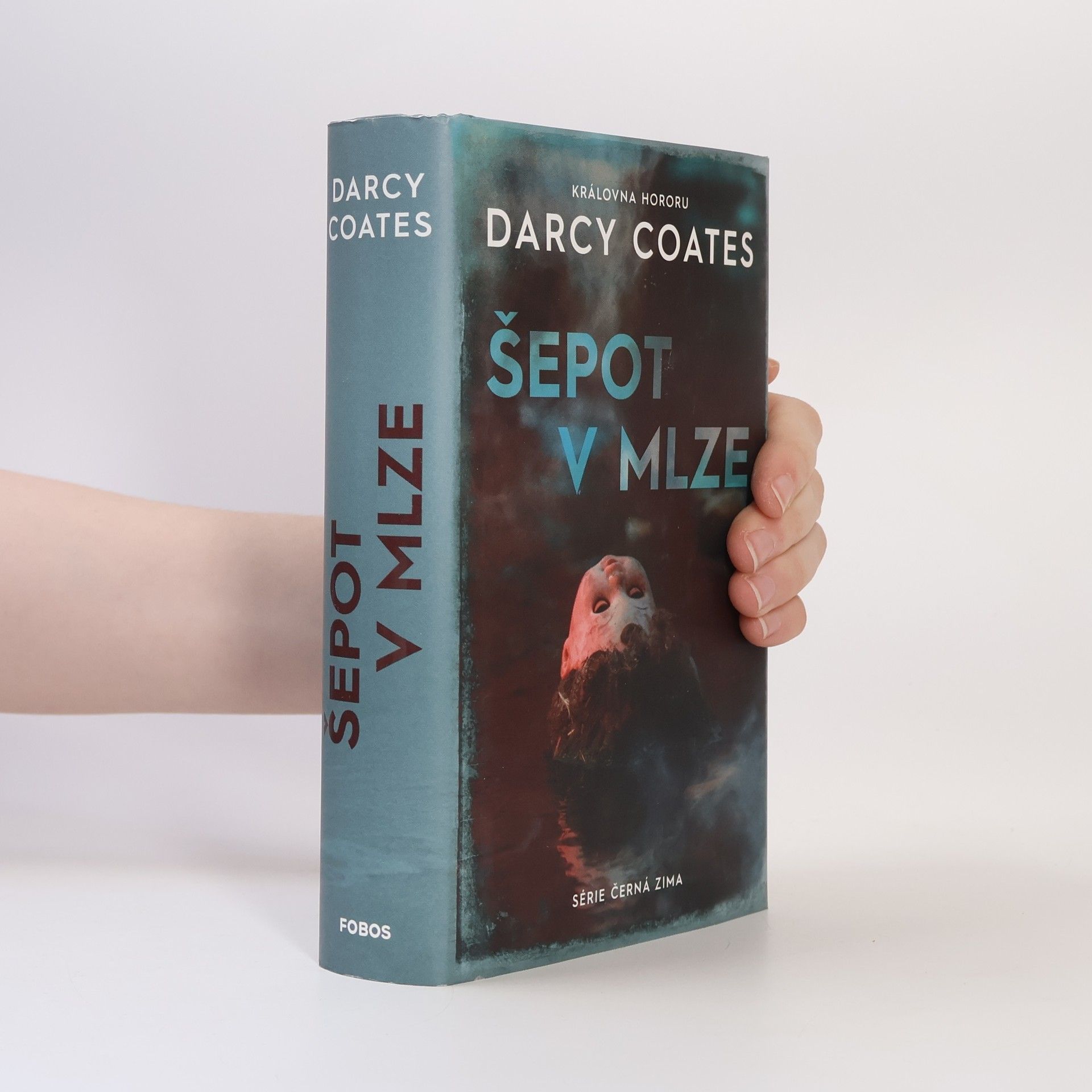 Darcy Coates Šepot v mlze