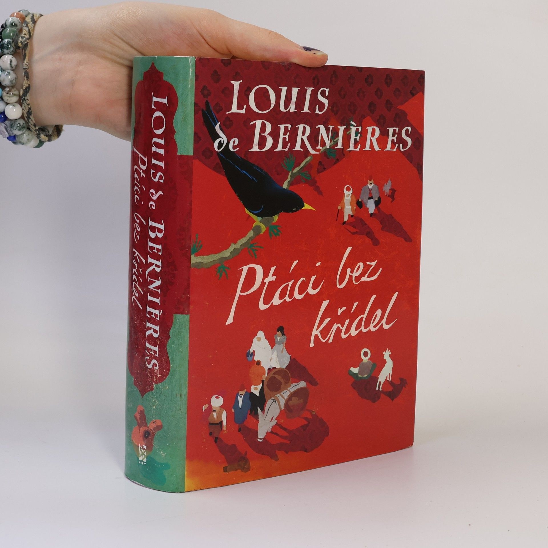 Louis de Bernières Ptáci bez křídel