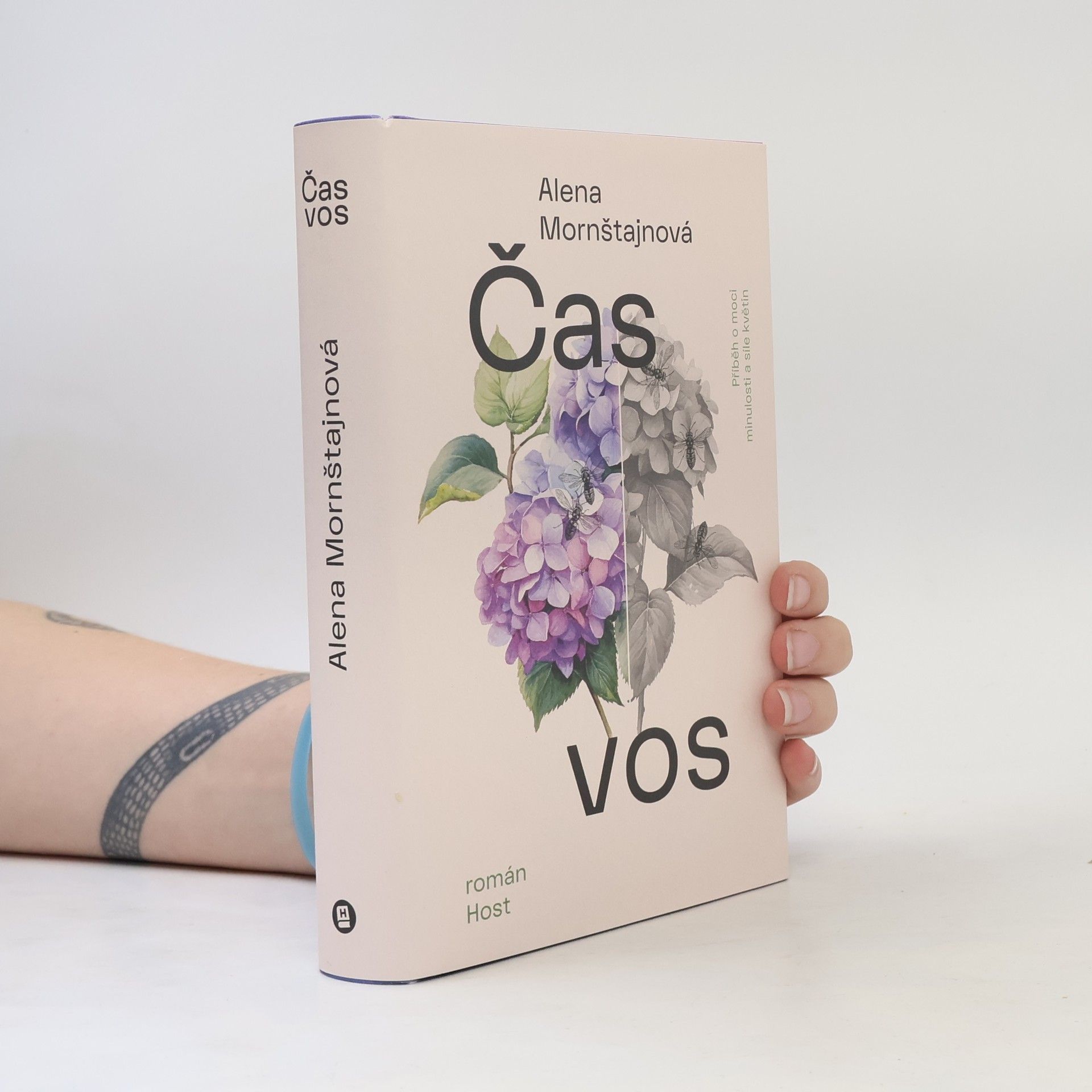 Alena Mornštajnová Čas vos