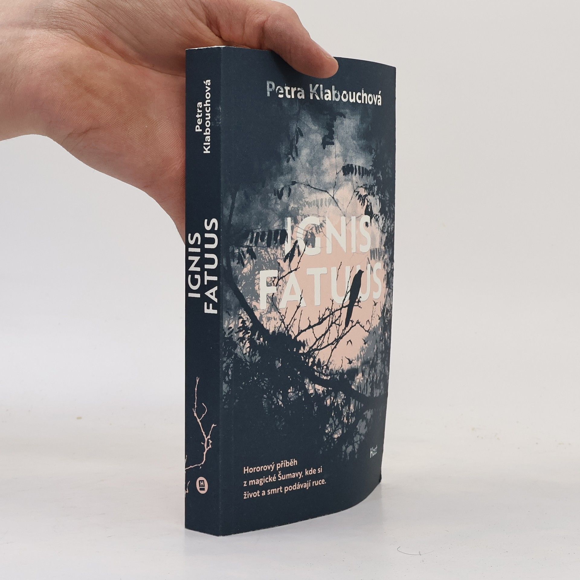 Petra Klabouchová Ignis fatuus