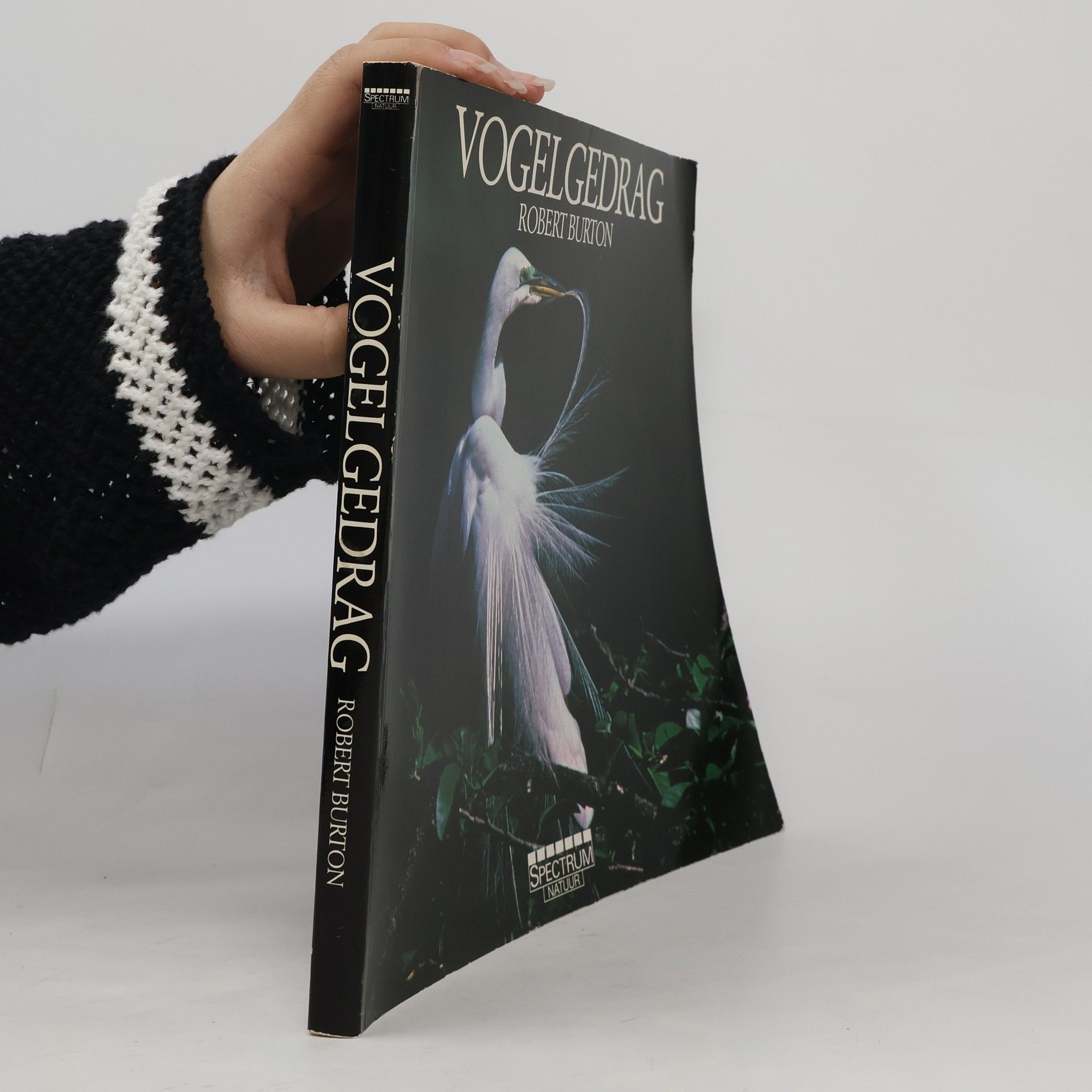 Robert Burton Vogelgedrag