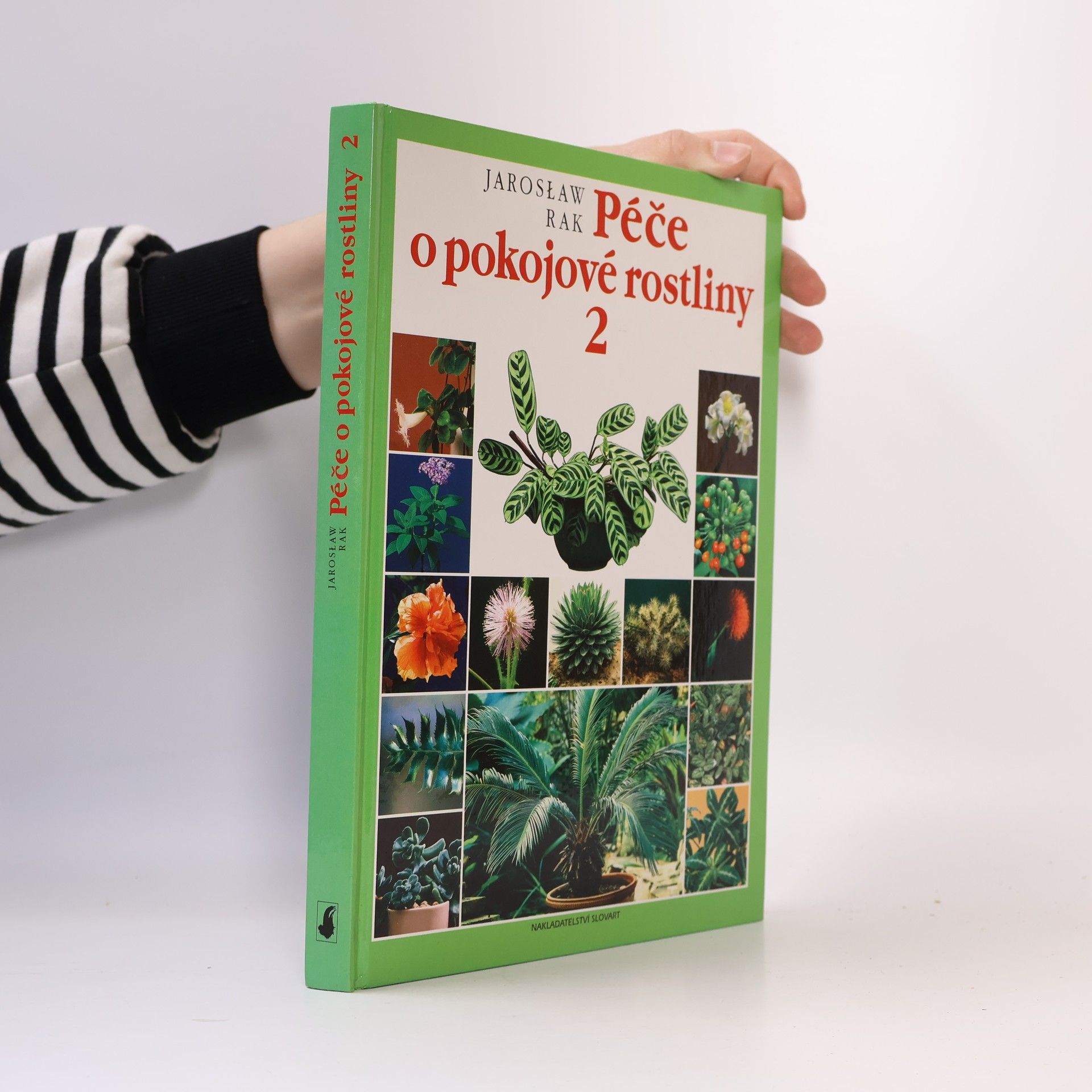 Jarosław Rak Péče o pokojové rostliny 2