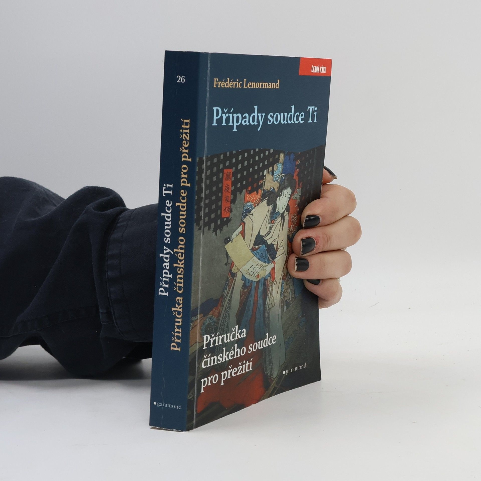 Případy soudce Ti. Příručka čínského soudce pro přežití