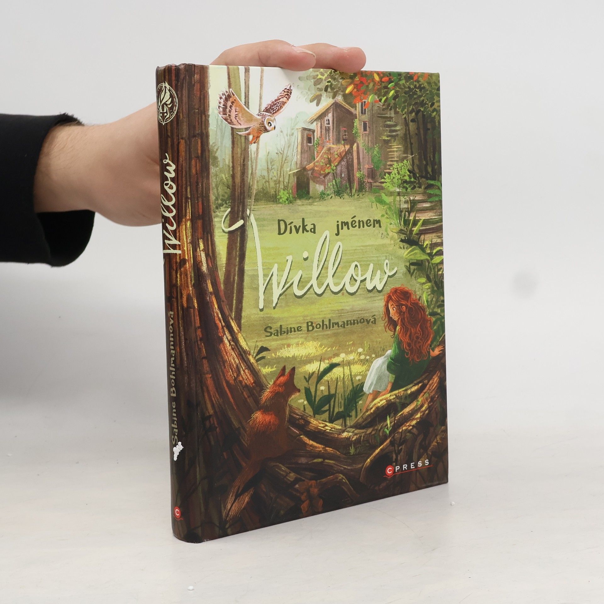 Sabine Bohlmann Dívka jménem Willow